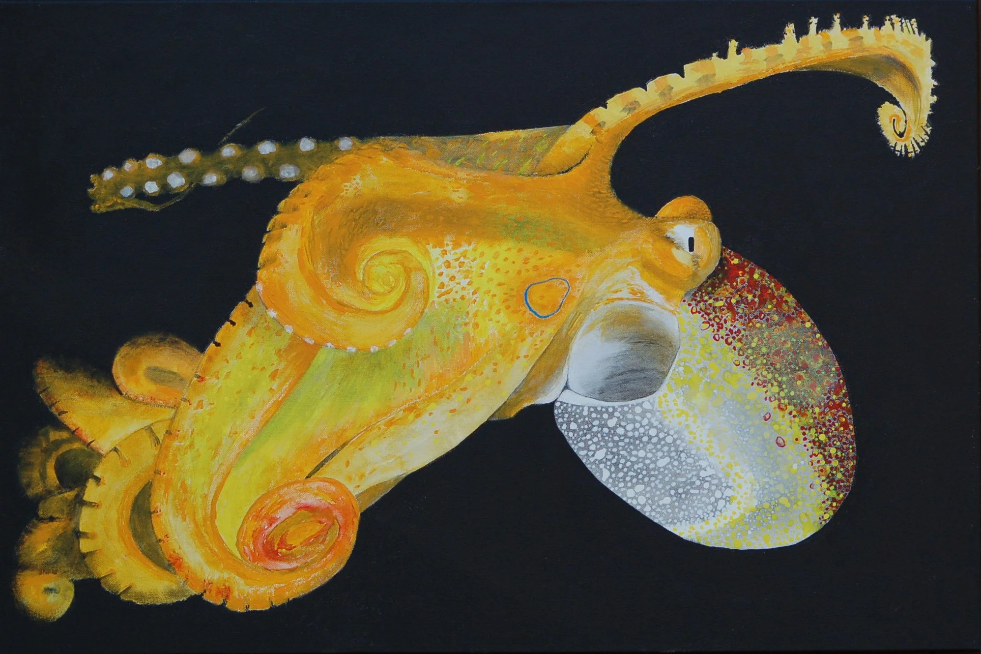 Octopus