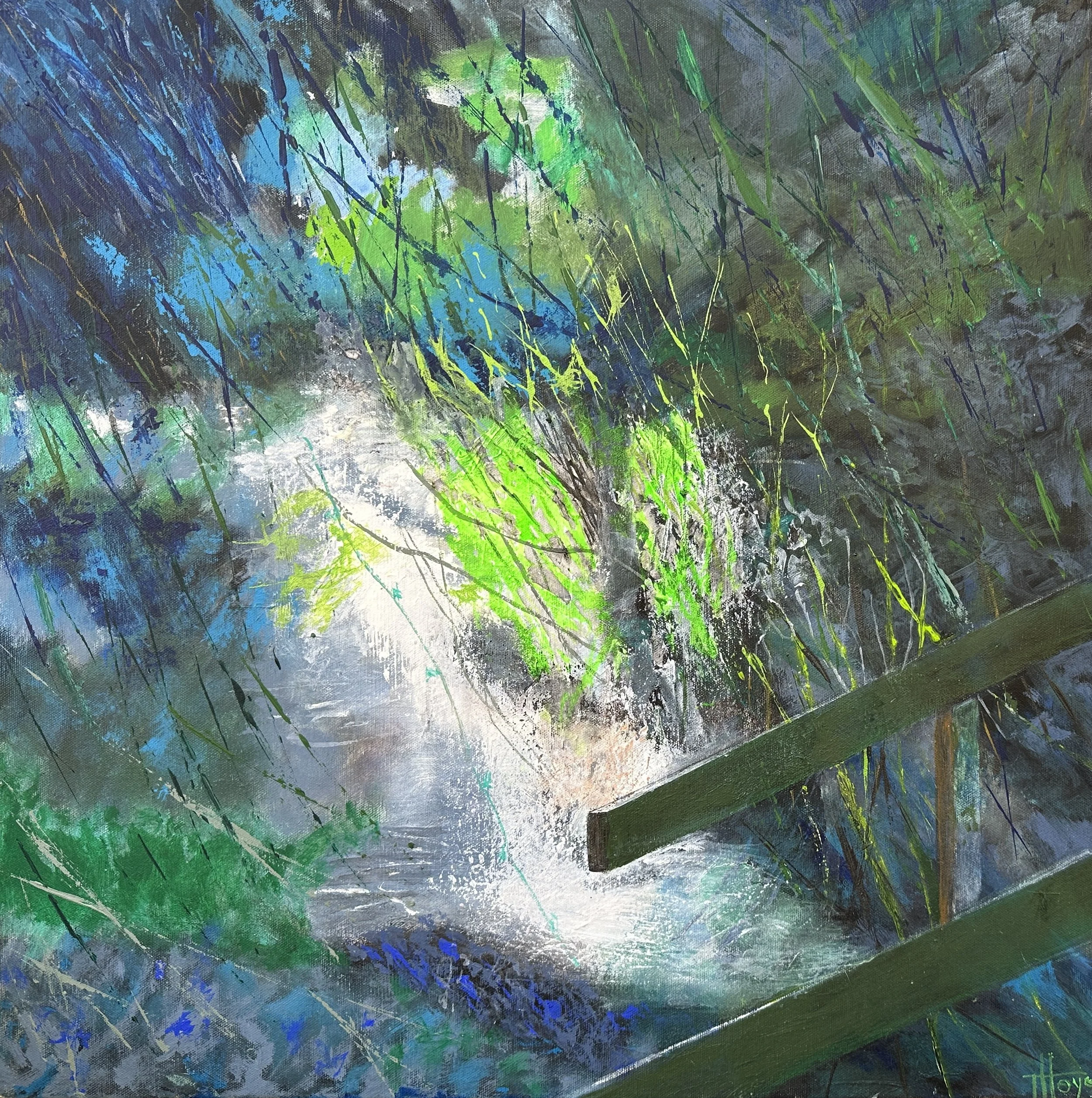 Stream through Woodland