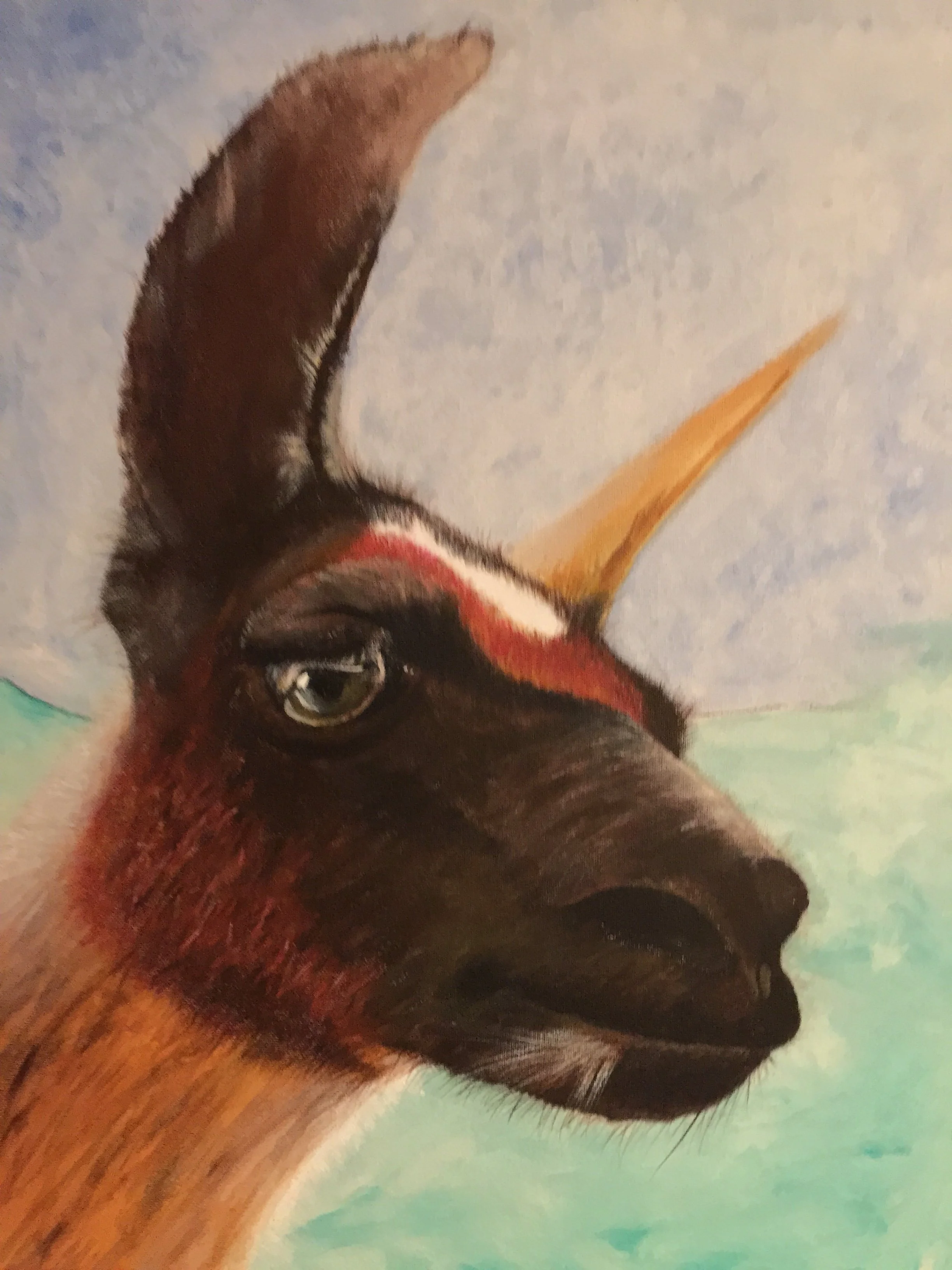 Bovidae