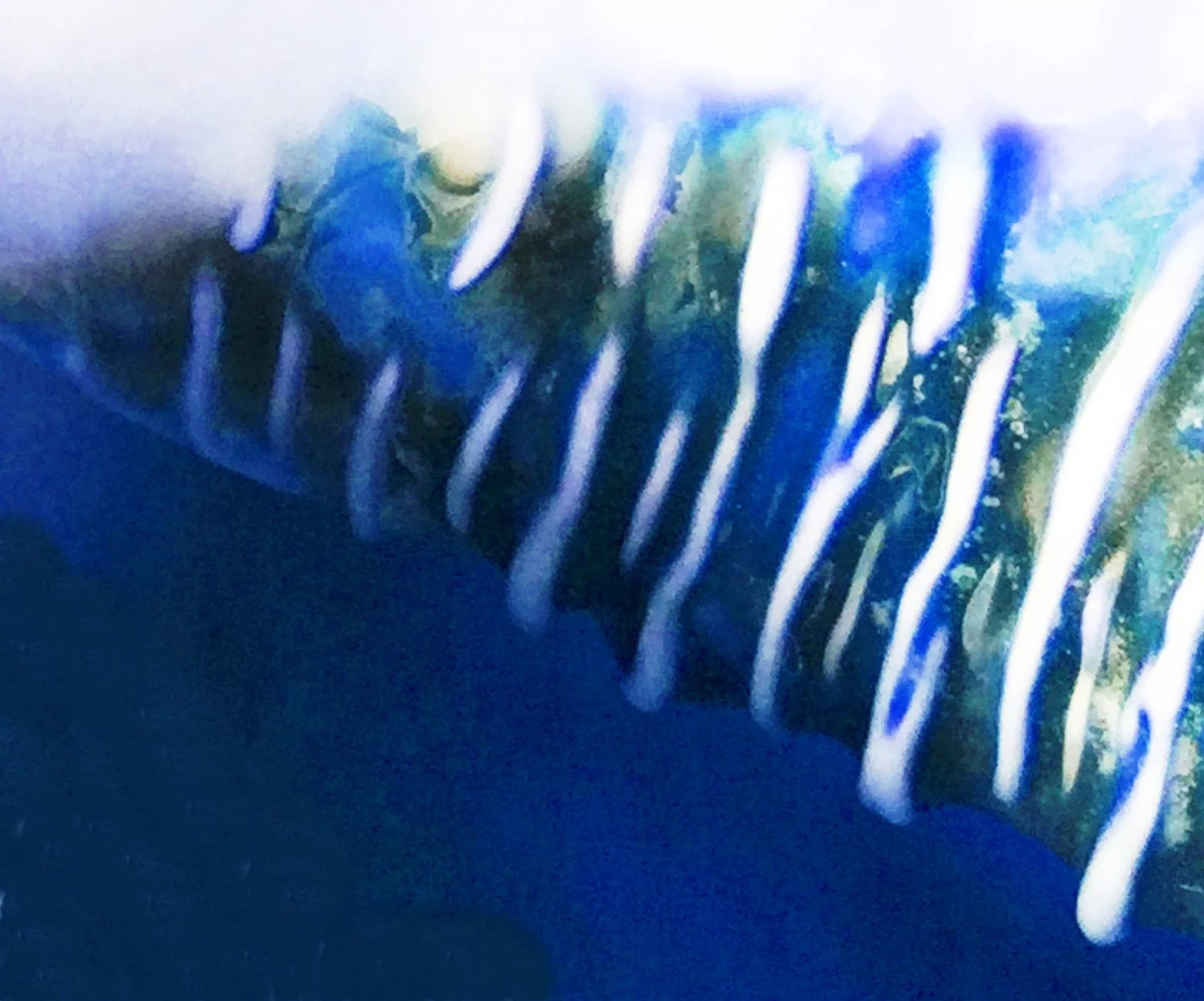 IMG_3556crop.jpg