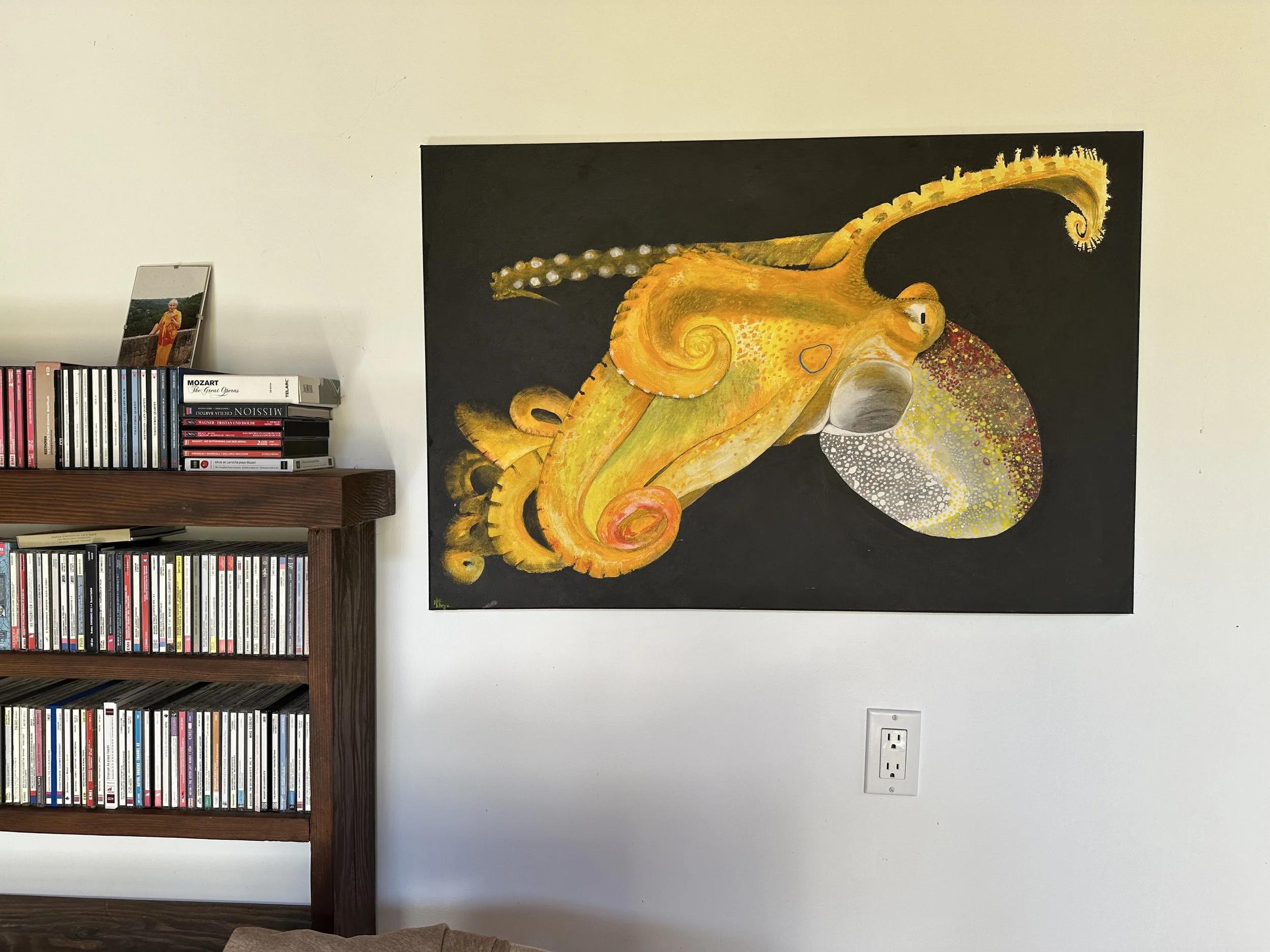 Octopus