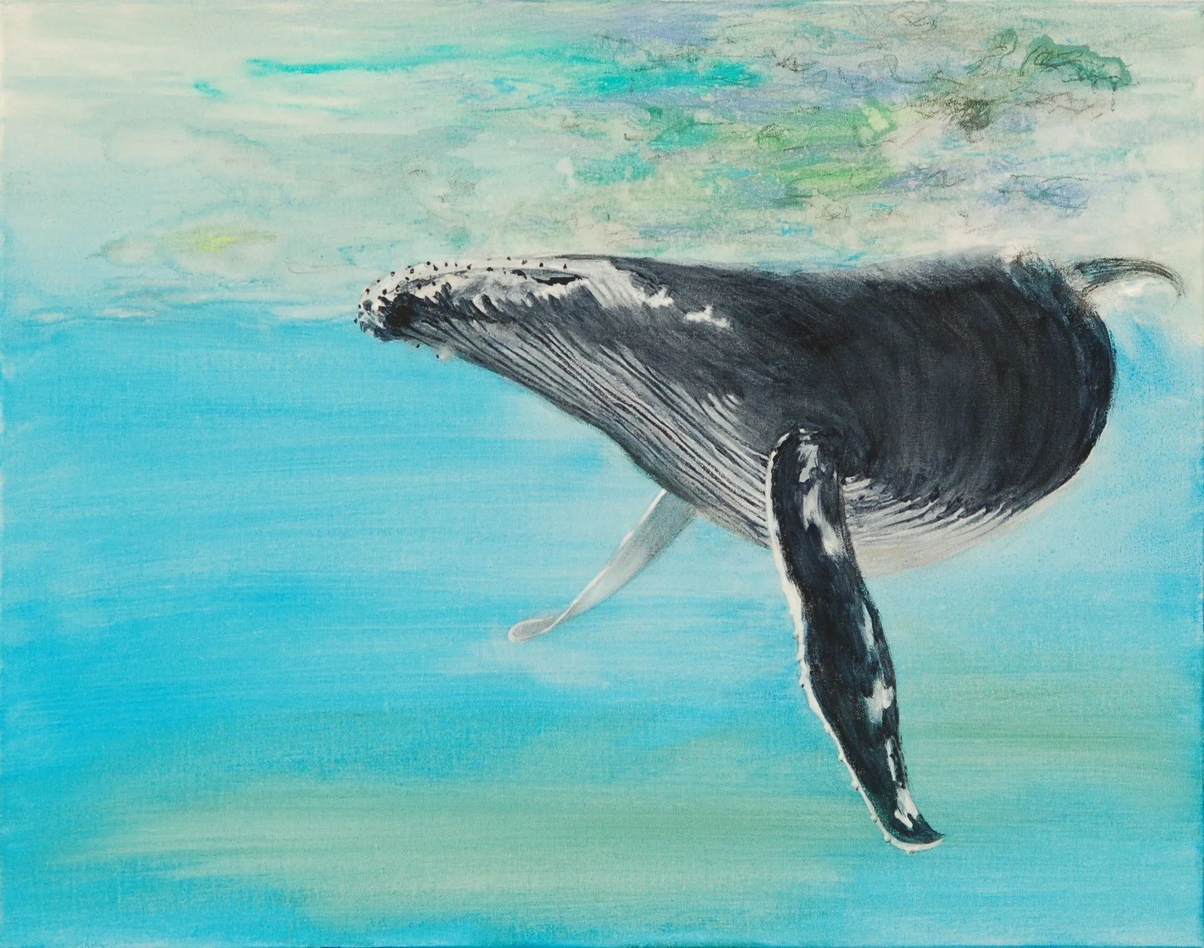 Humpback #2