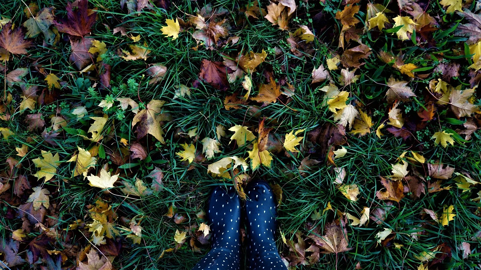 grounding techniques for dissociation