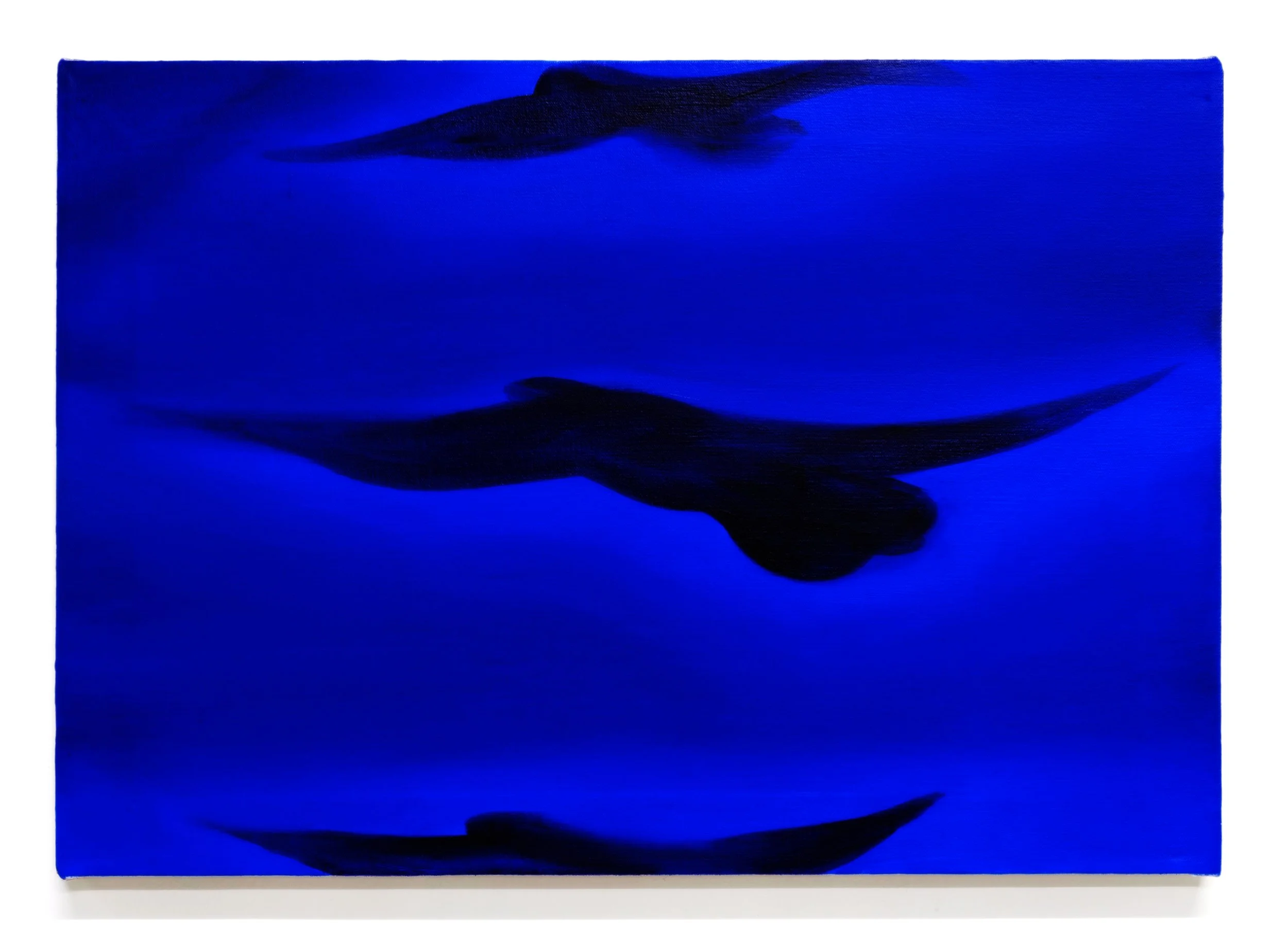 In Flight, Oil on canvas, 25x18 inches, 2023