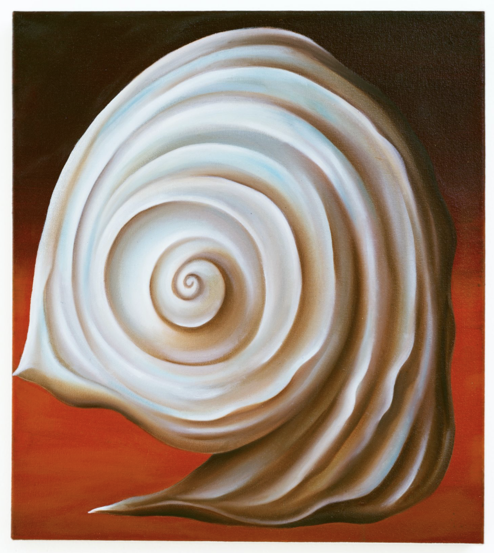 Shellscape, oil on canvas, 16 x 18 inches, 2023
