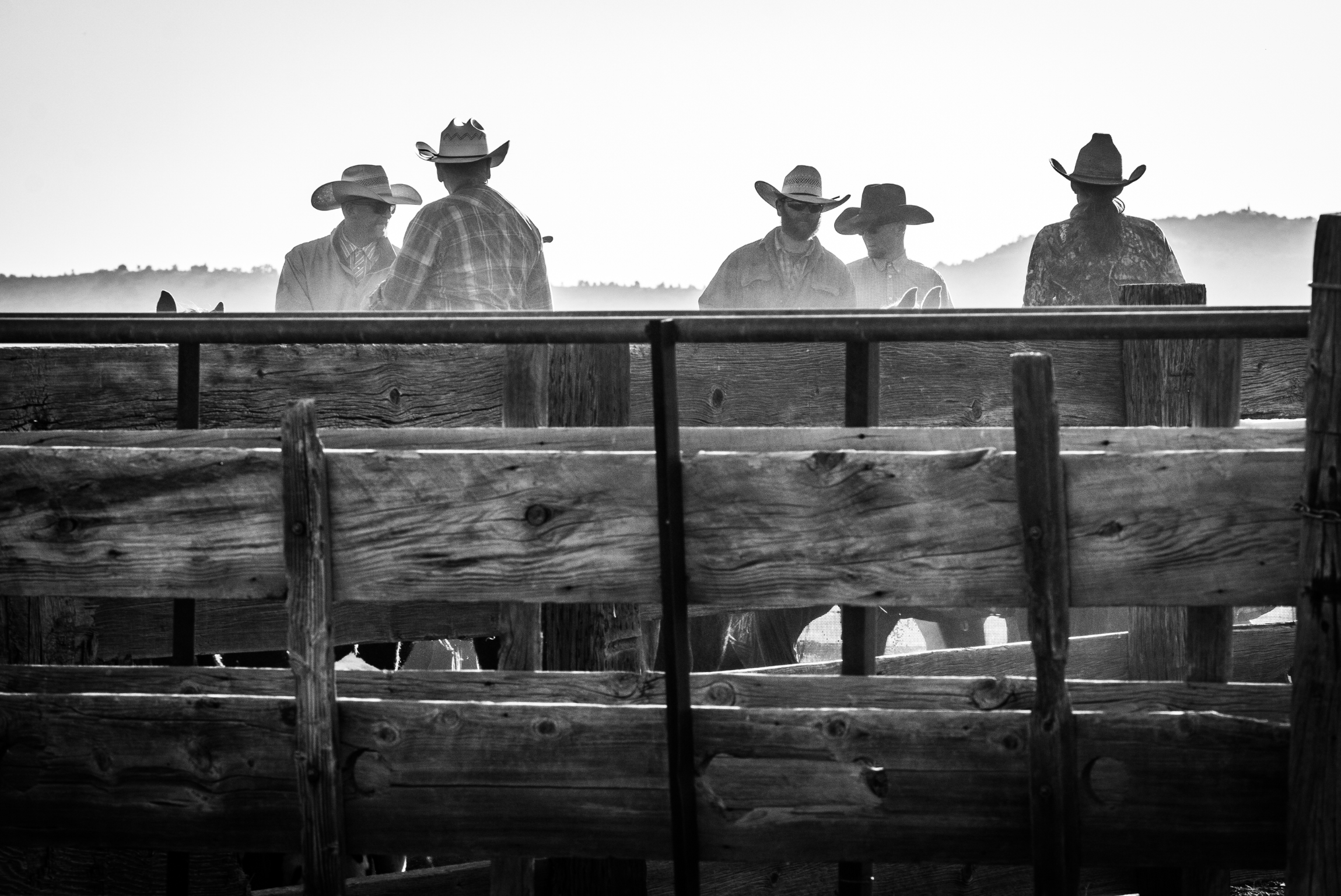 A black and white photo of five people wearing cowboy hats standing behind a wooden fence, with hills in the background.