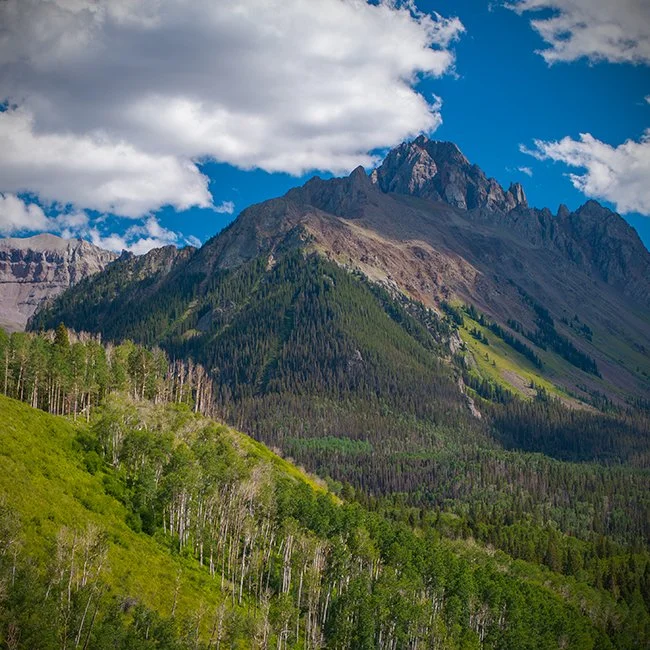 A mountain landscape with dense green forest on the lower slopes, rugged peaks in the background, a partly cloudy sky, and a mix of bright and shadowed areas.