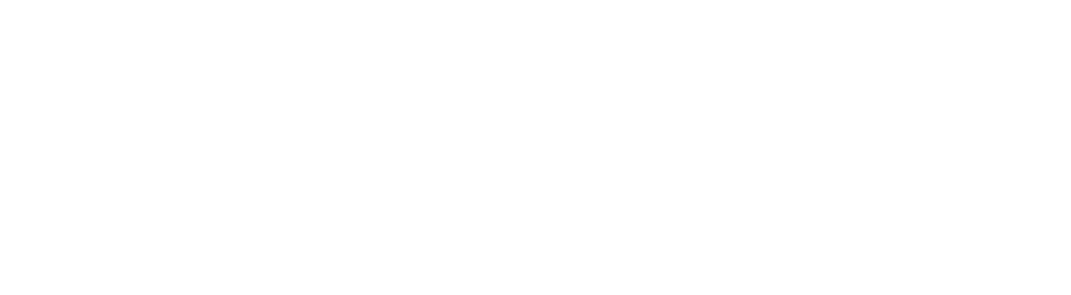Logo with a lion's profile inside a circle, next to the text '180 Ministries' in white on a black background.