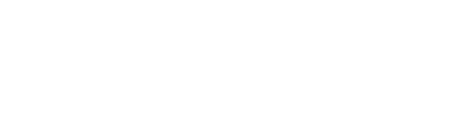 Logo of 180 Ministries featuring a stylized lion head in a circle with the text '180 Ministries' next to it.