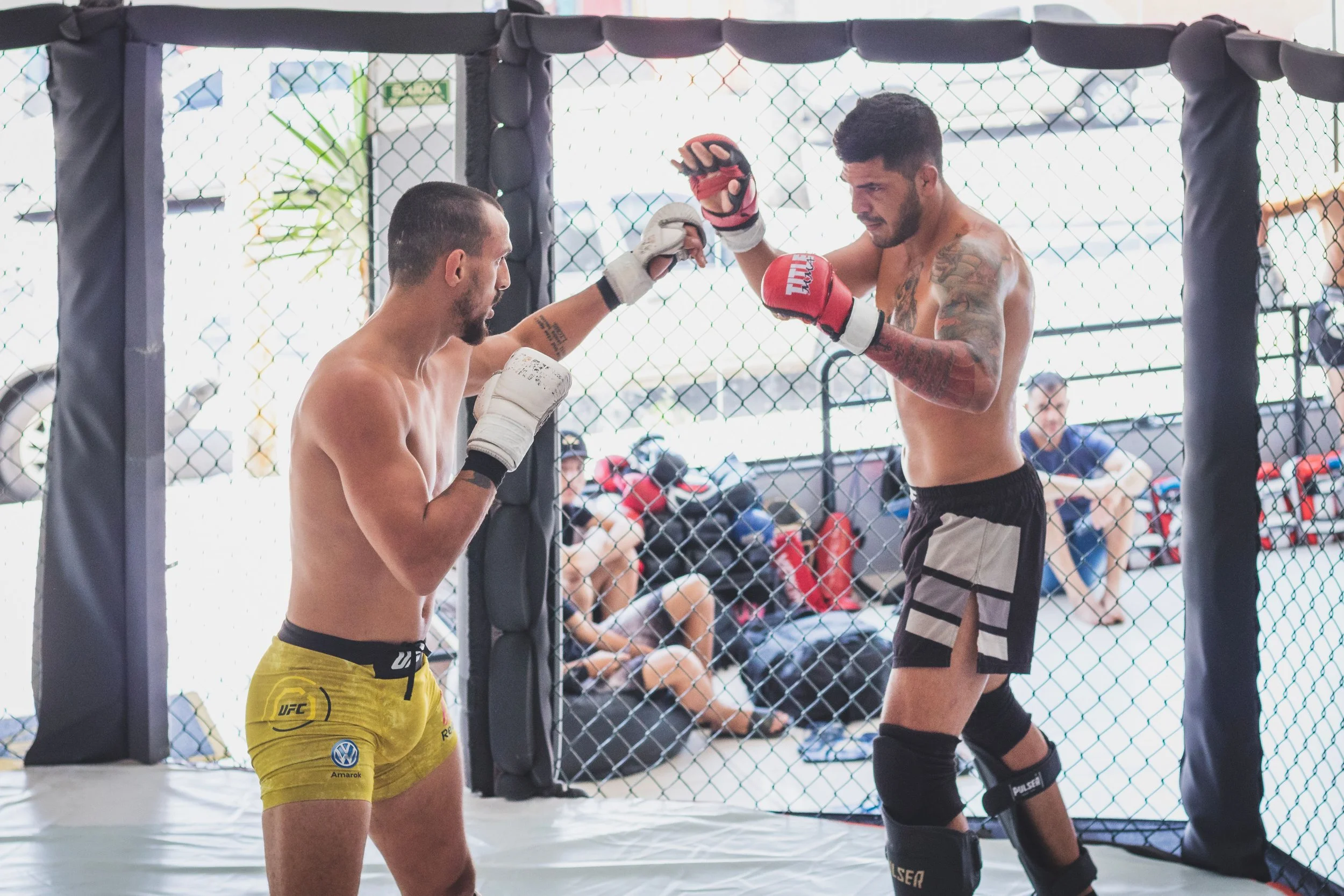 Two shirtless mixed martial arts fighters in gloves inside a caged fighting ring, preparing to spar or fight.