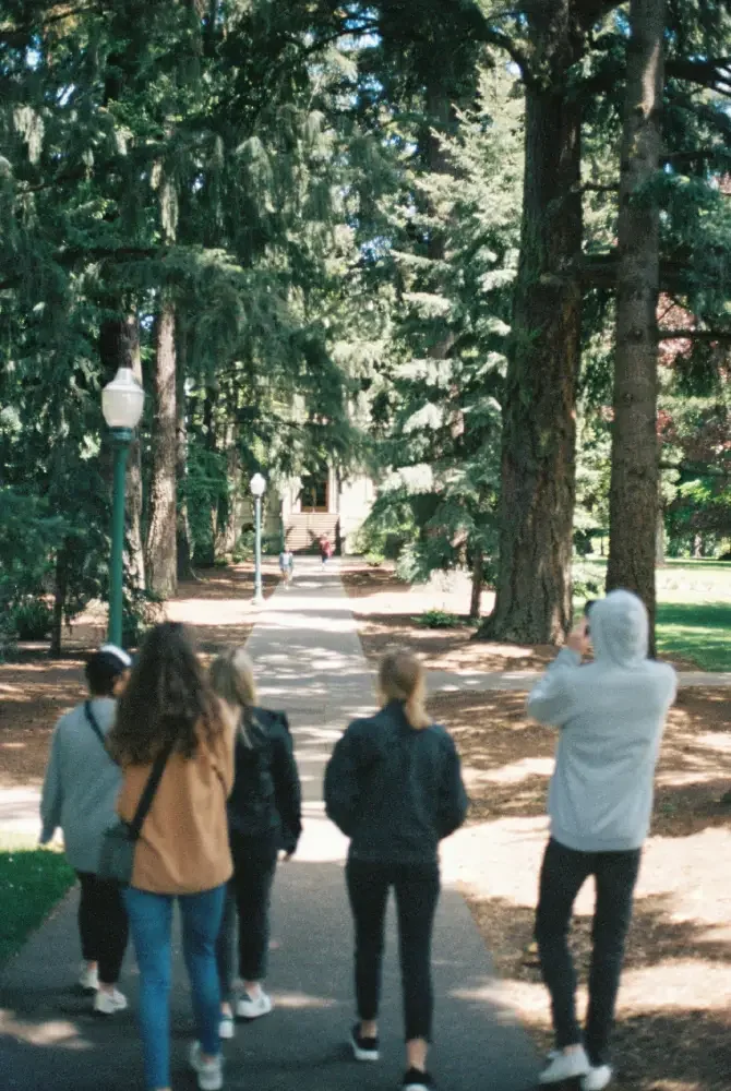 Group of five young people walking on a paved path in a wooded park with tall pine trees and lampposts, some wearing hoodies and jackets.