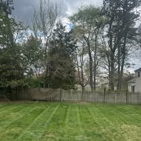 A backyard with a green lawn, a wooden fence, and tall trees in the background under a cloudy sky.