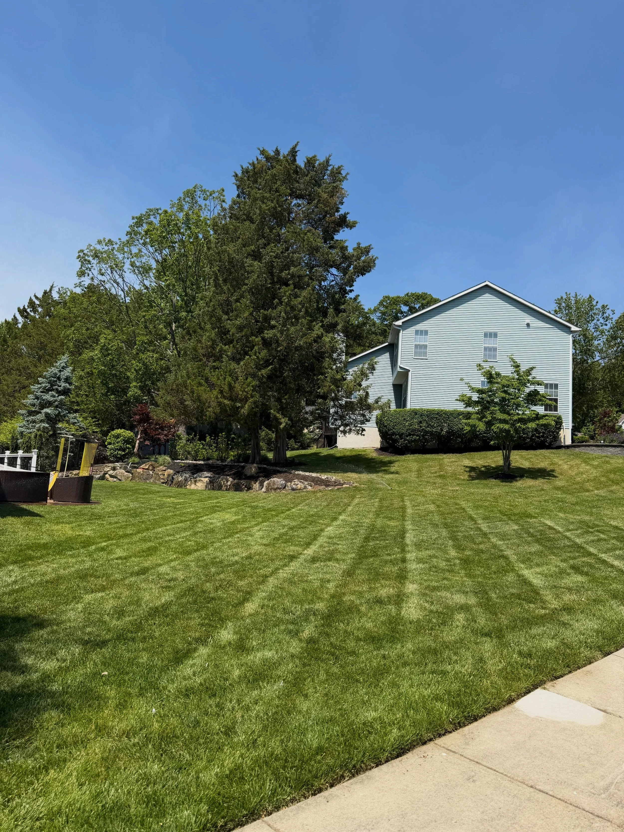 Well-maintained green lawn with a concrete sidewalk, trees, and a white house with blue siding and multiple windows under a clear blue sky.