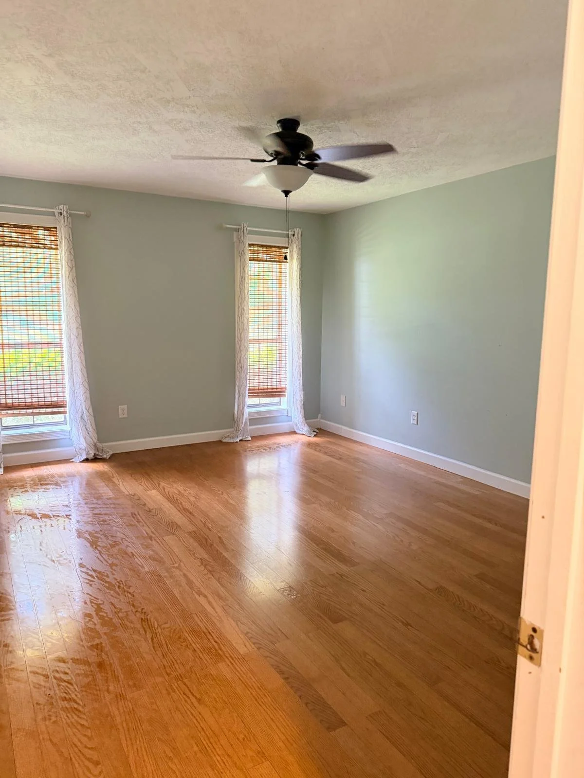 Empty room with hardwood floors, light green walls, two windows with blinds and white curtains, ceiling fan, and electrical outlets.