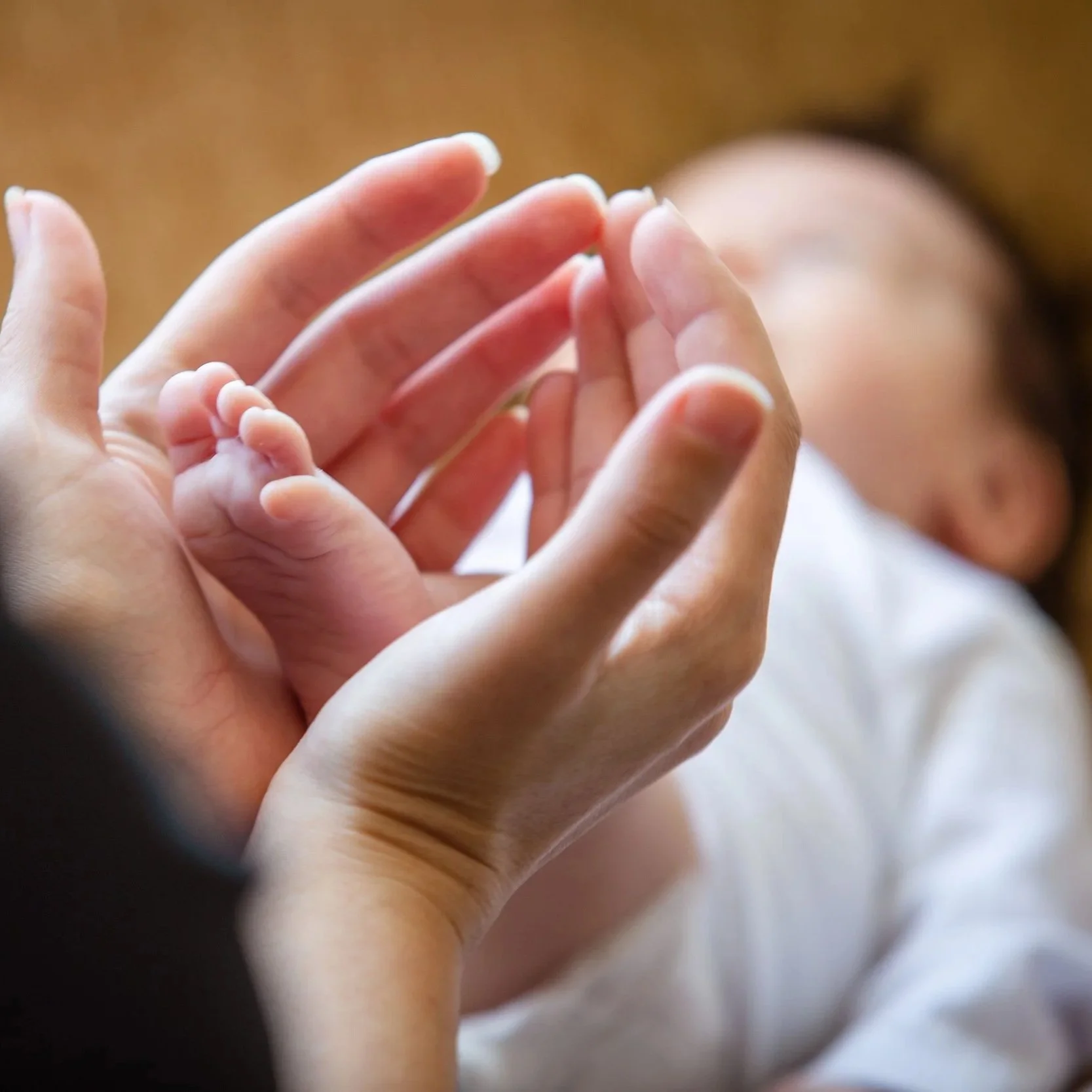 Close-up of an adult hand gently holding a small baby hand, showing tenderness and connection.