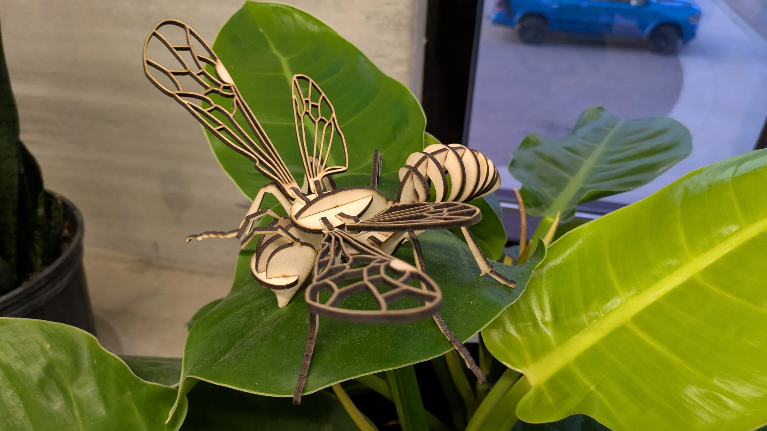Wasp - Plant_NA-002.jpg