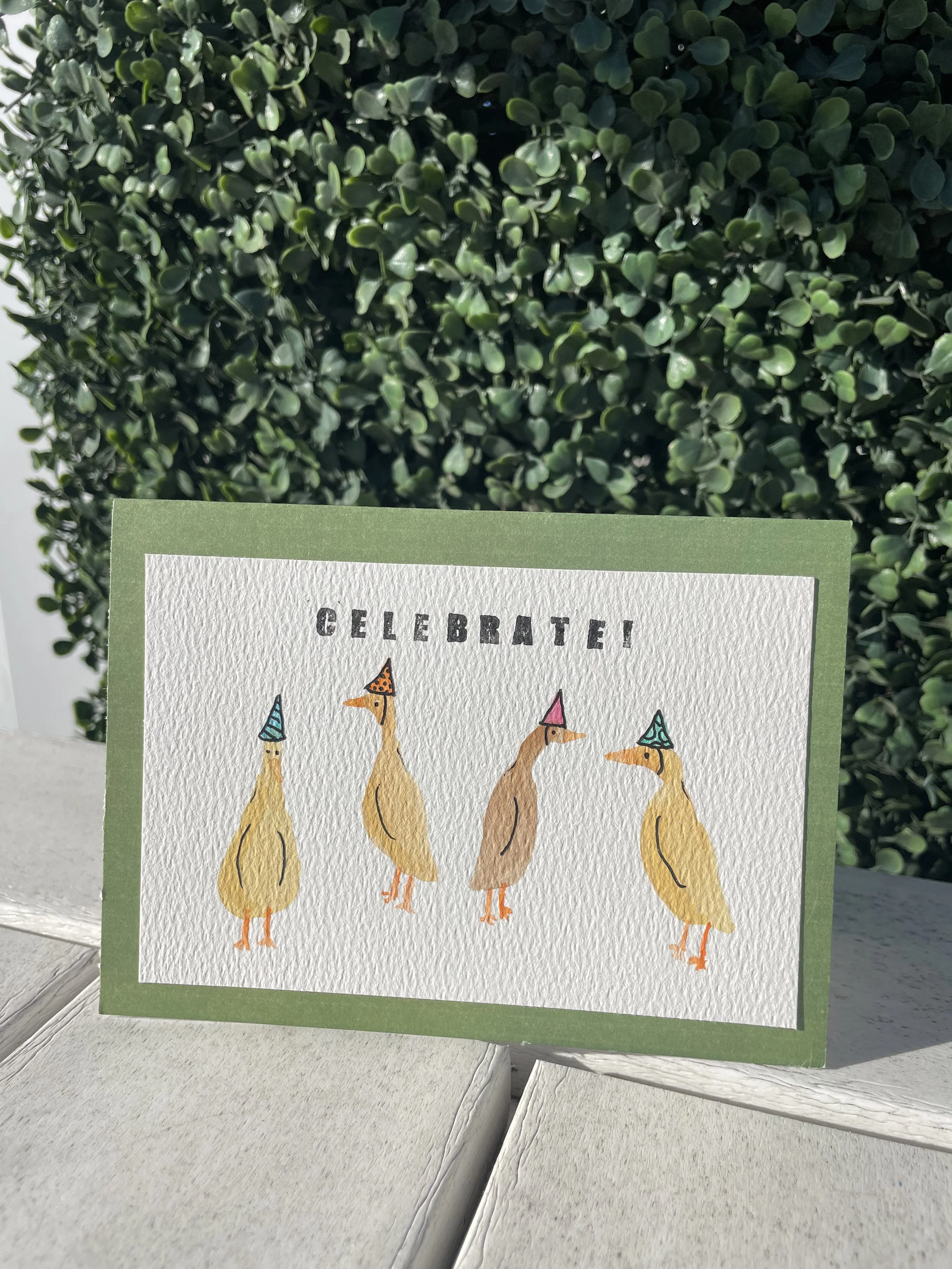 ducks 4.jpg