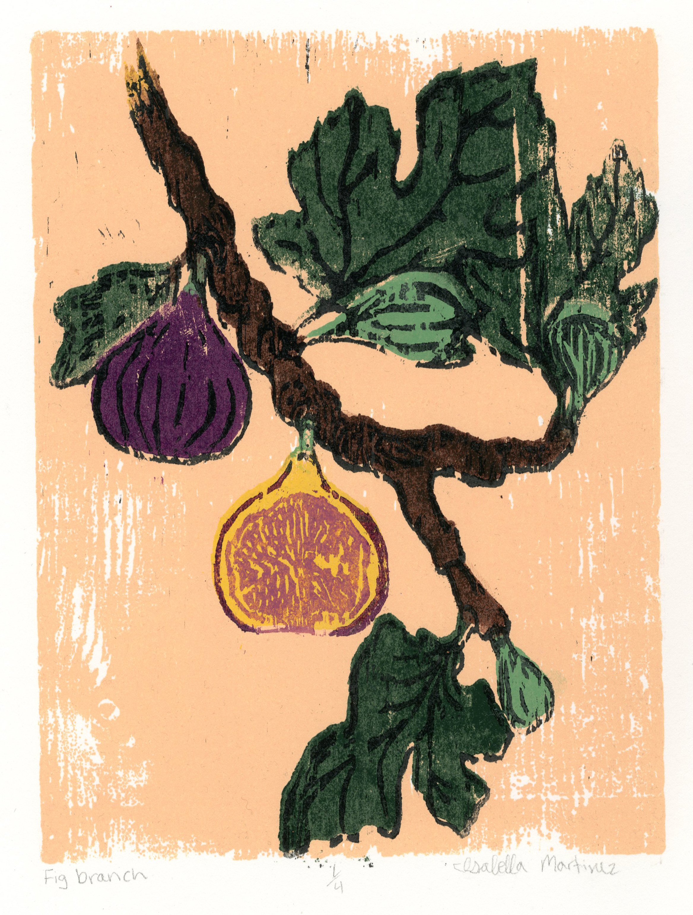 Fig Branch