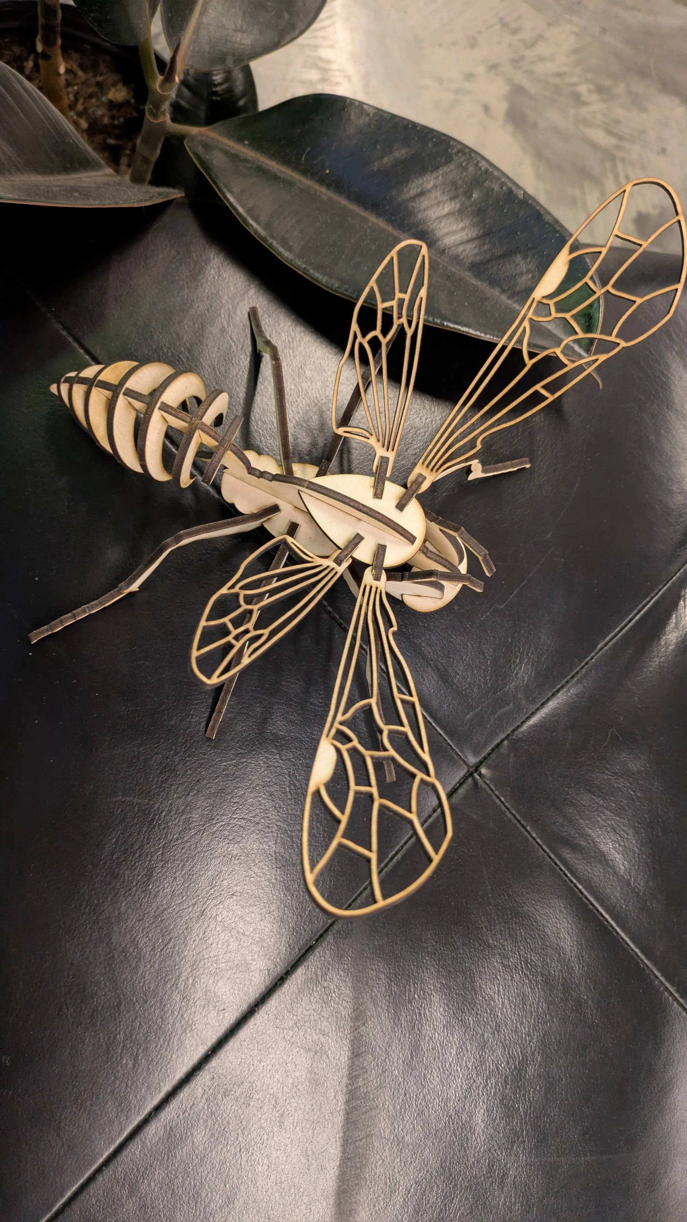 Wasp - Above_NA-002.jpg
