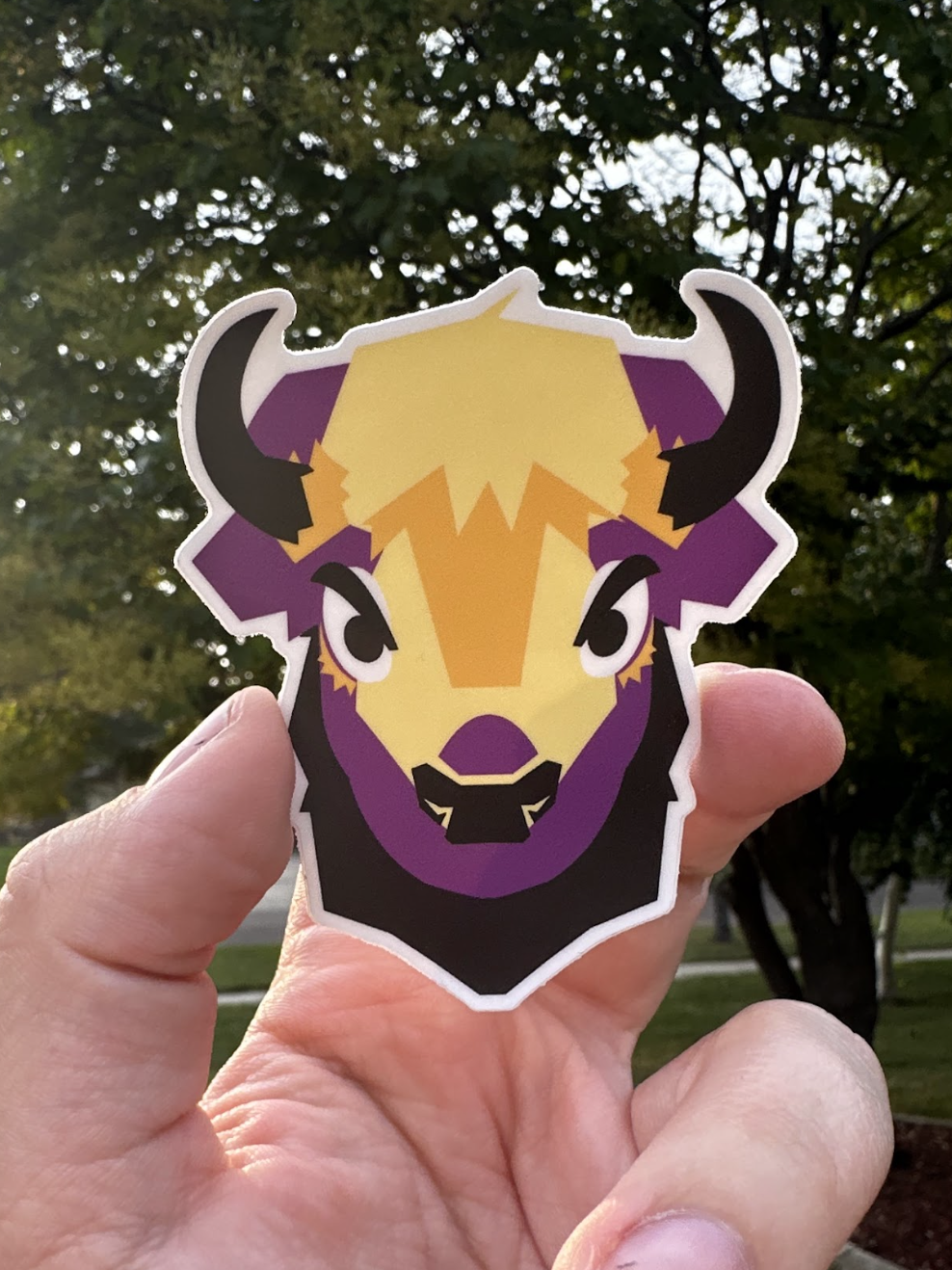Nonbinary Bison Sticker