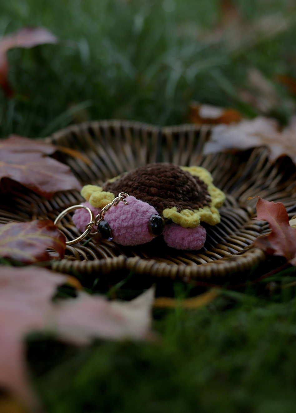 Sunflower Turtle
