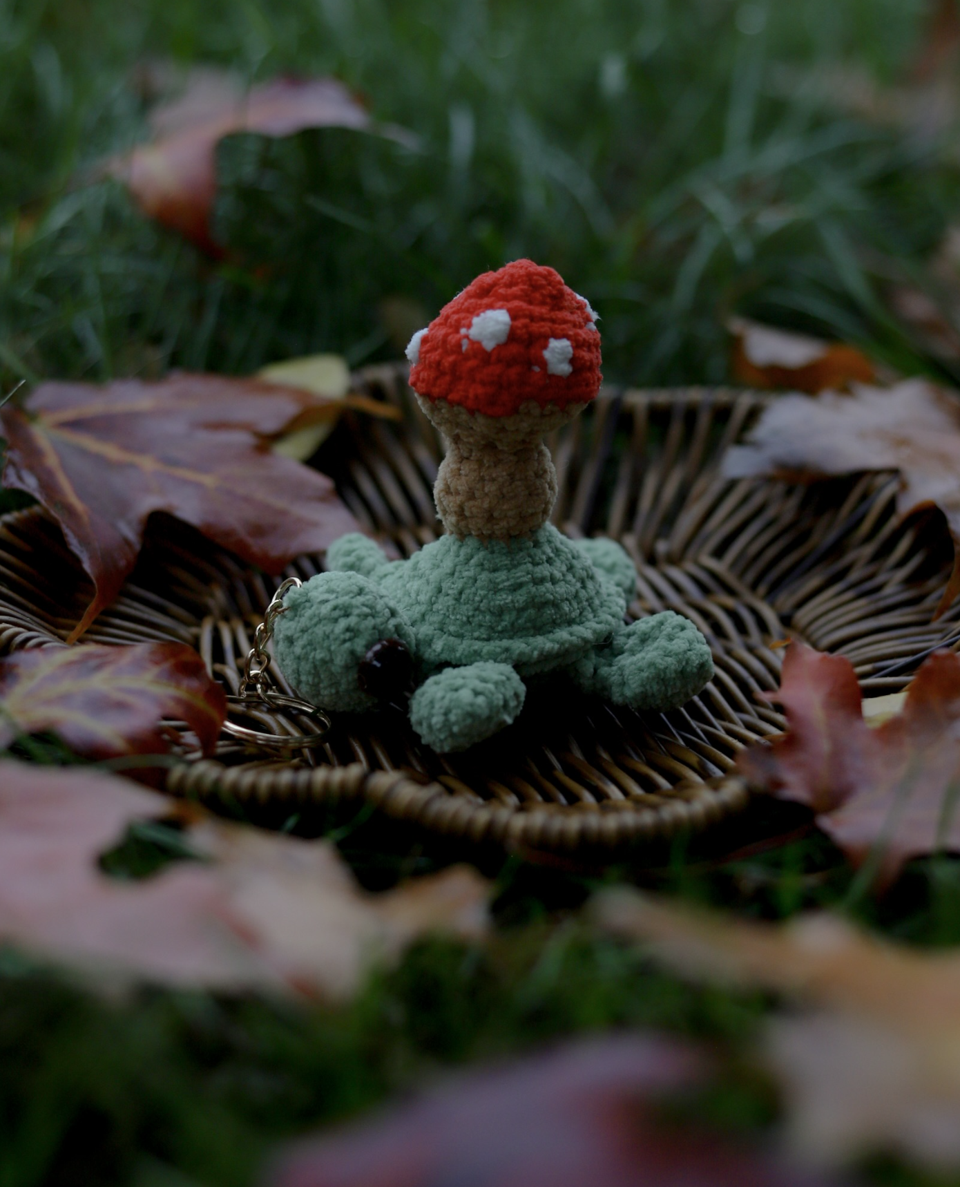 Pop-It Mushroom Turtle