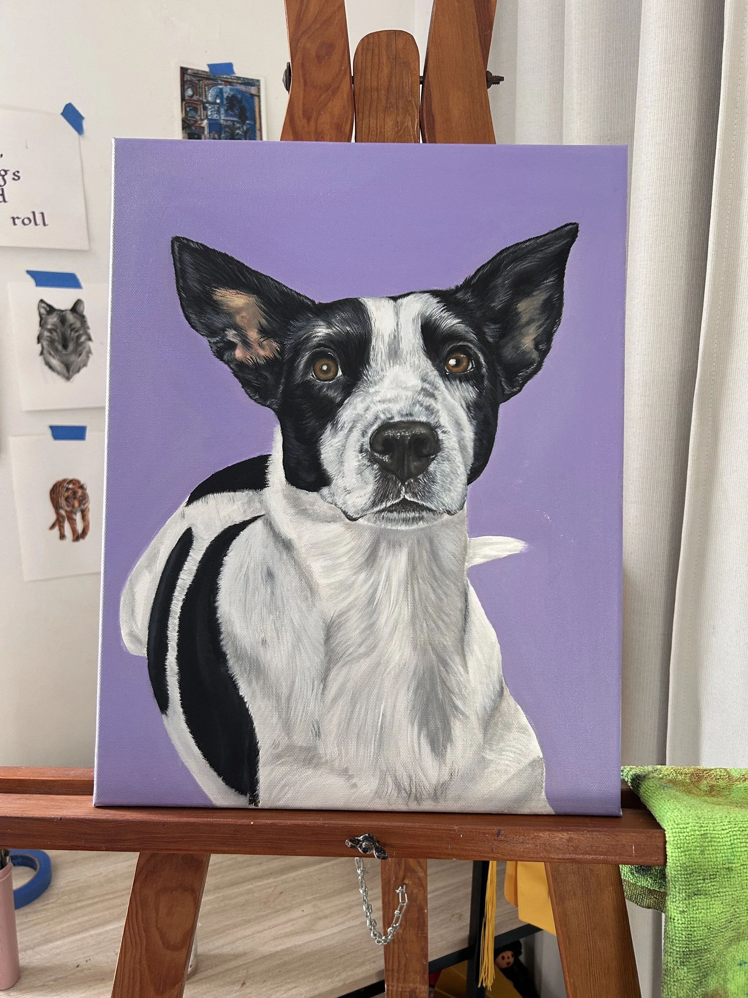 Retrato detallado de mascota realizado en óleo