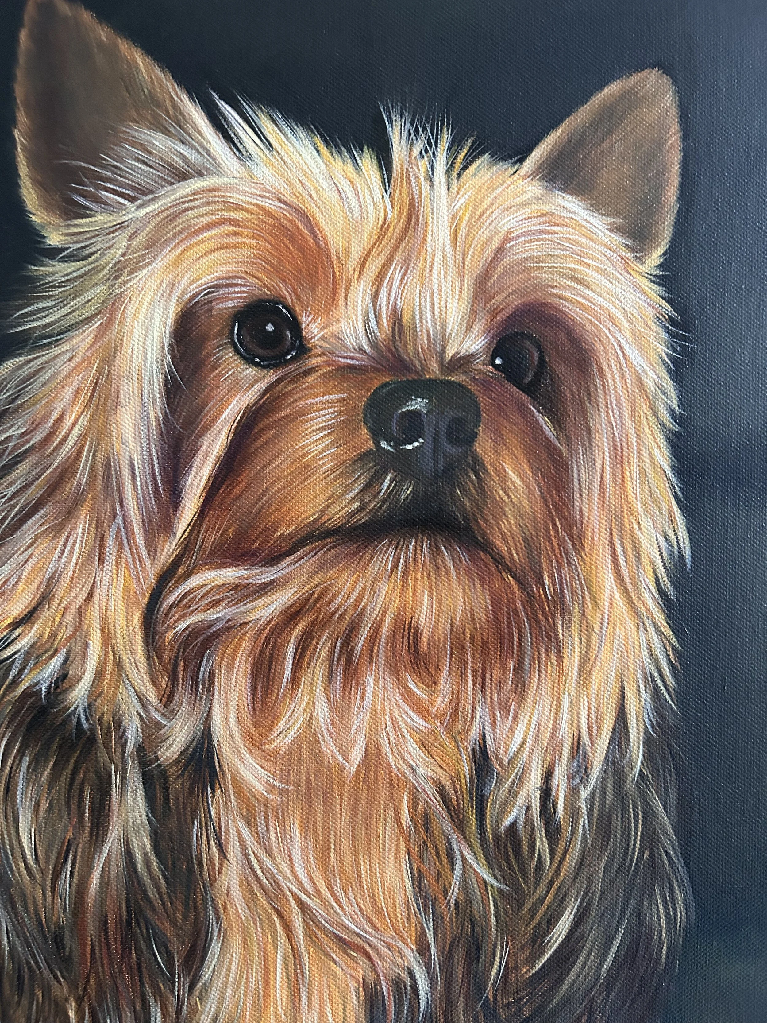 Obra original de perro Yorki pintada al óleo