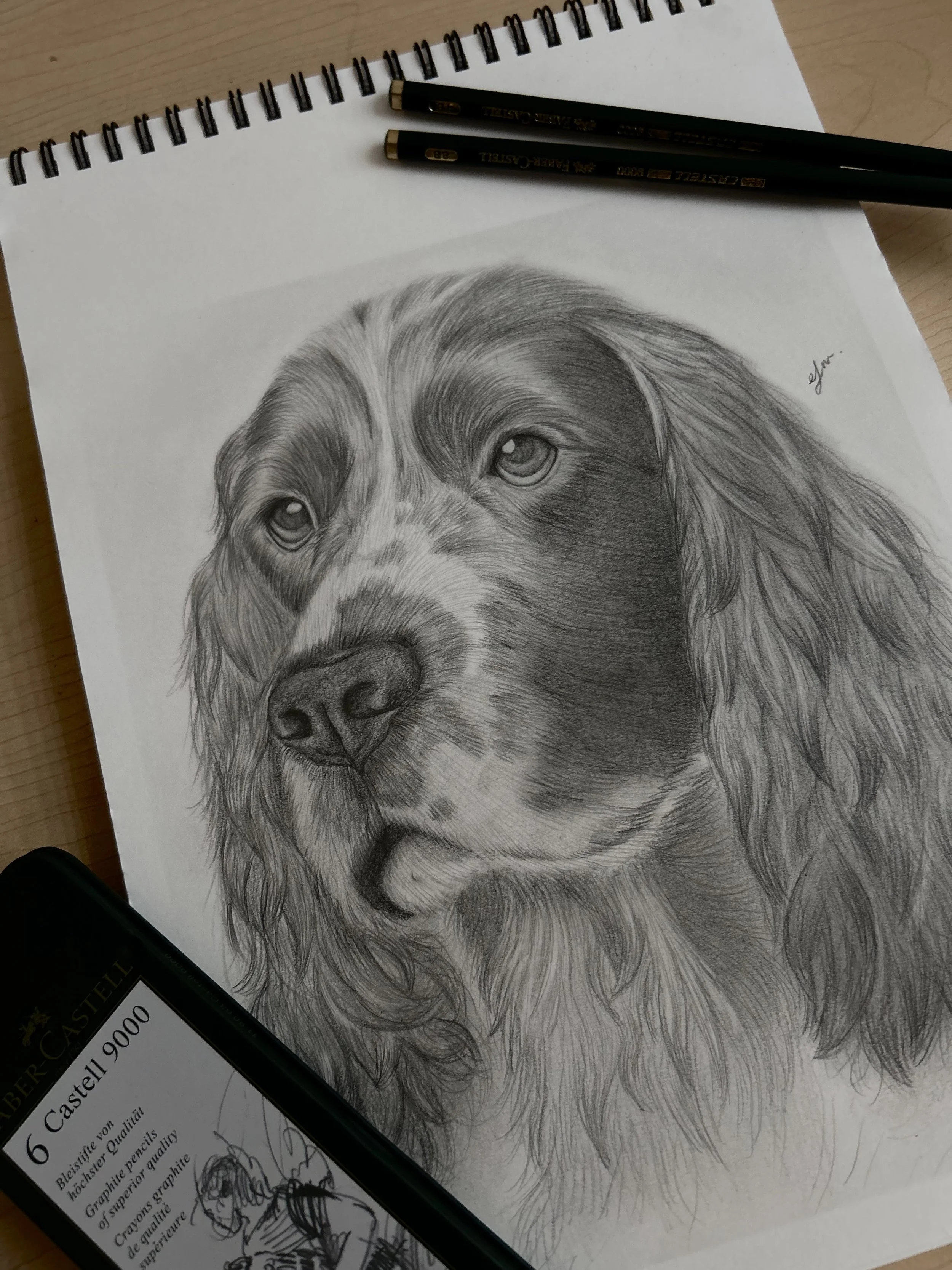 Retrato personalizado de mascota realizado en grafito