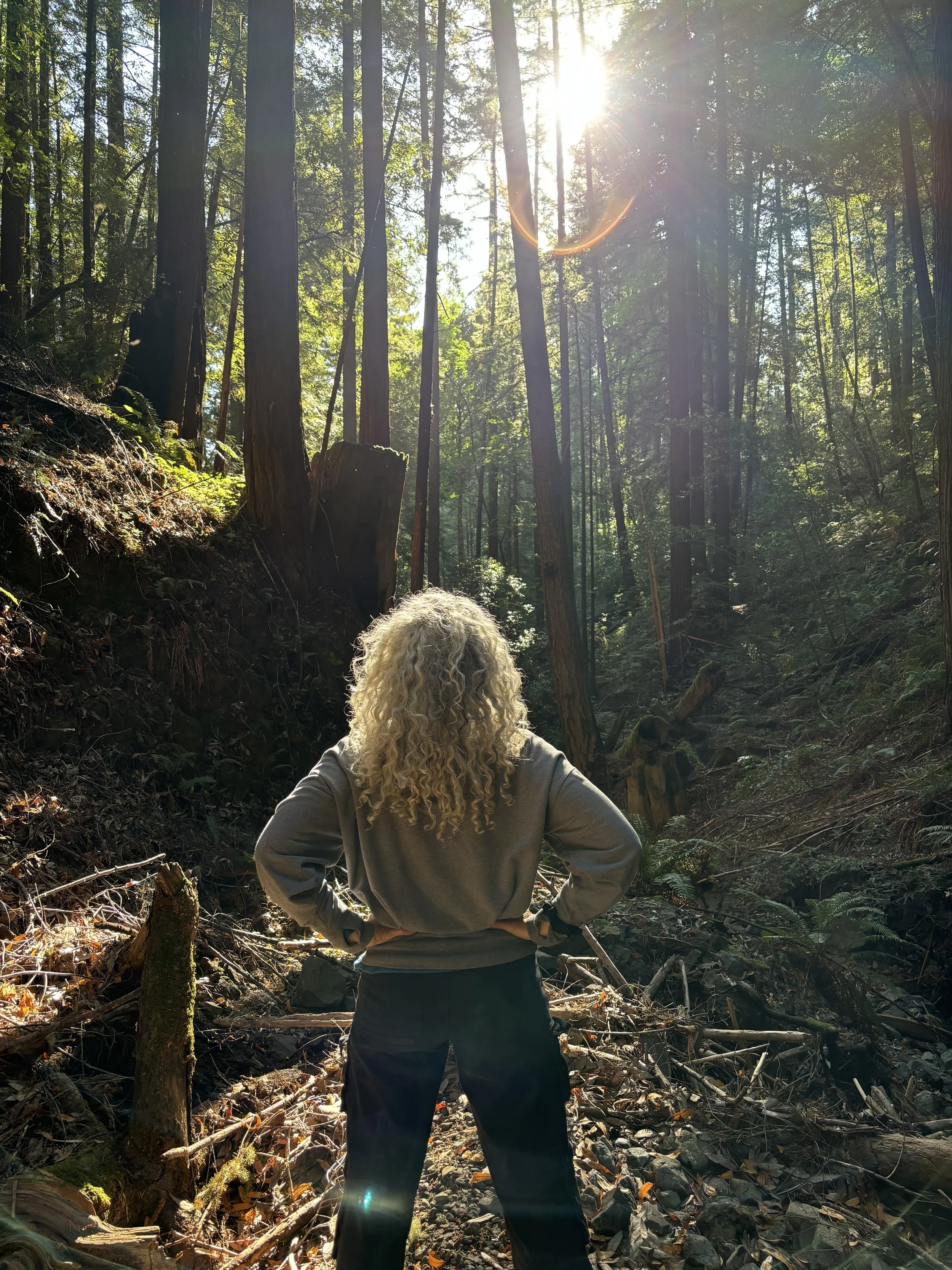 A person with curly blonde hair stands in a forest with tall trees, sunlight shining through the canopy, and a rocky, wooded ground.