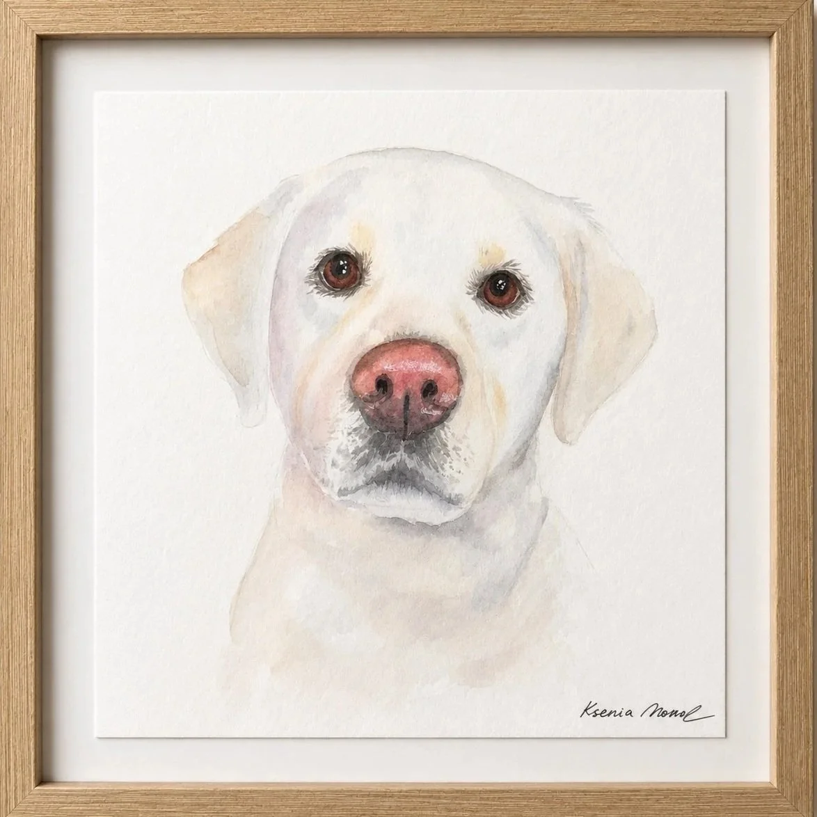 Watercolor painting of a white Labrador retriever with brown eyes and a pink nose, framed in natural wood.
