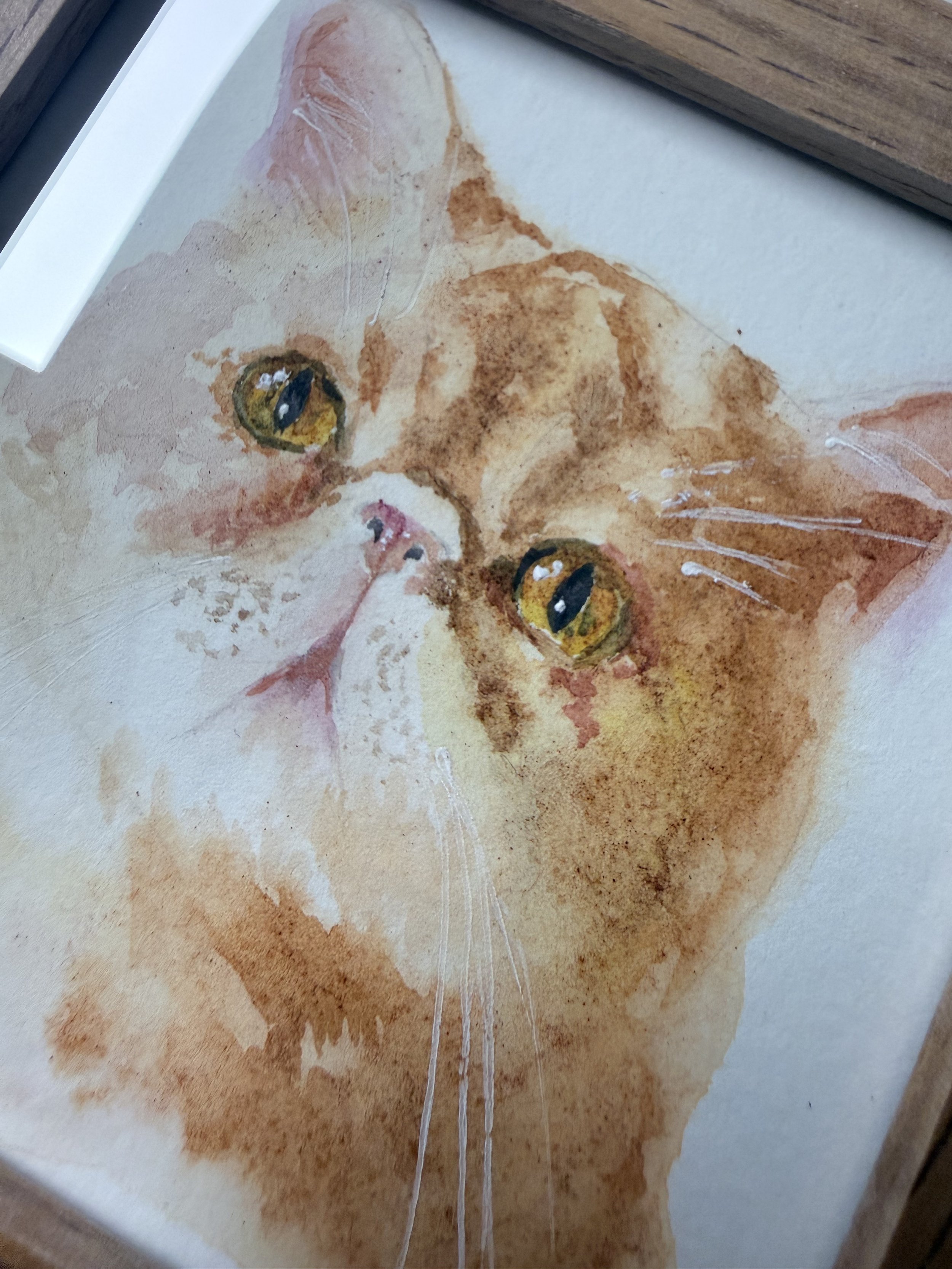 Hand-painted watercolor portrait of an orange-and-white cat with yellow eyes