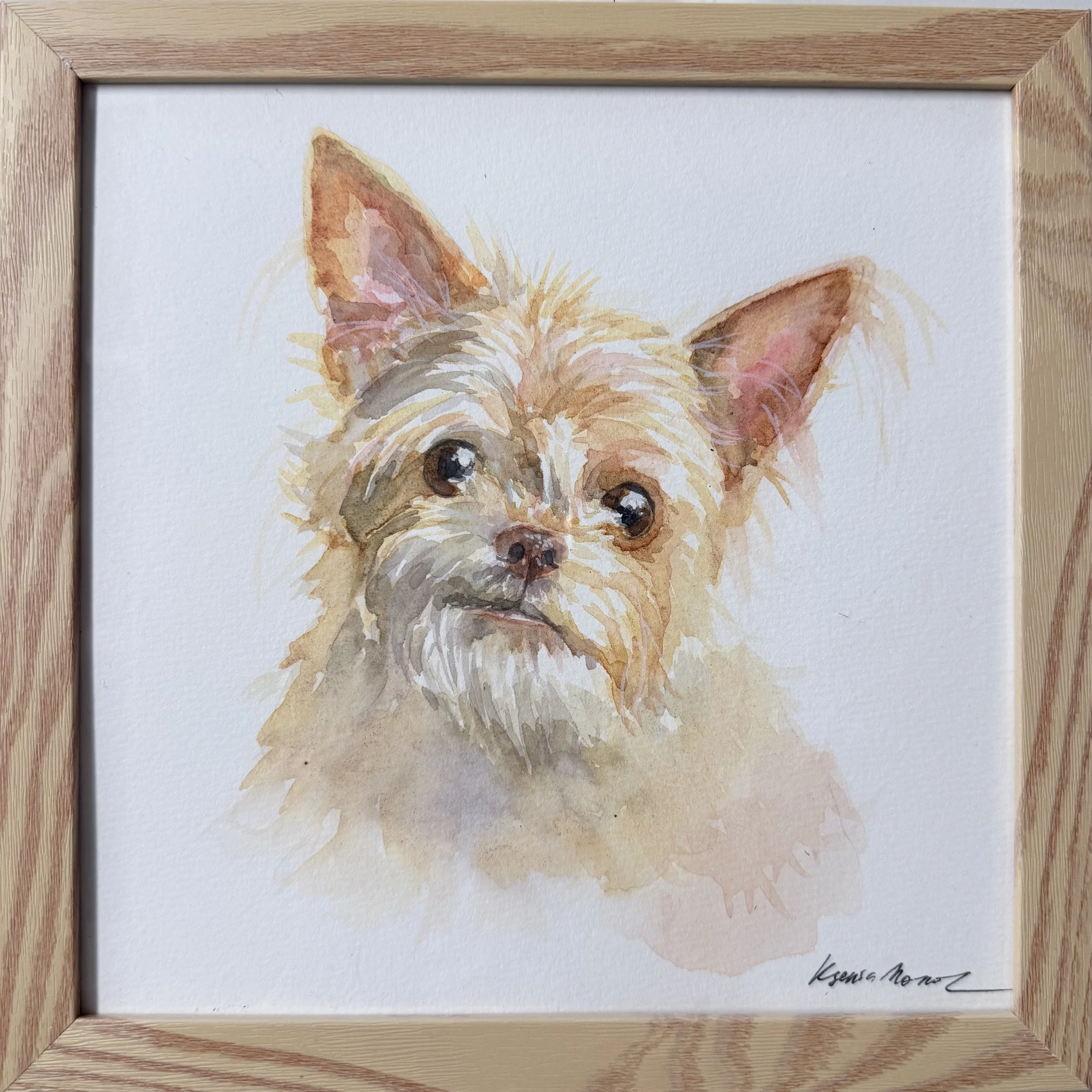Hand-painted watercolor pet portrait of a small Yorkshire Terrier in a light wood frame
