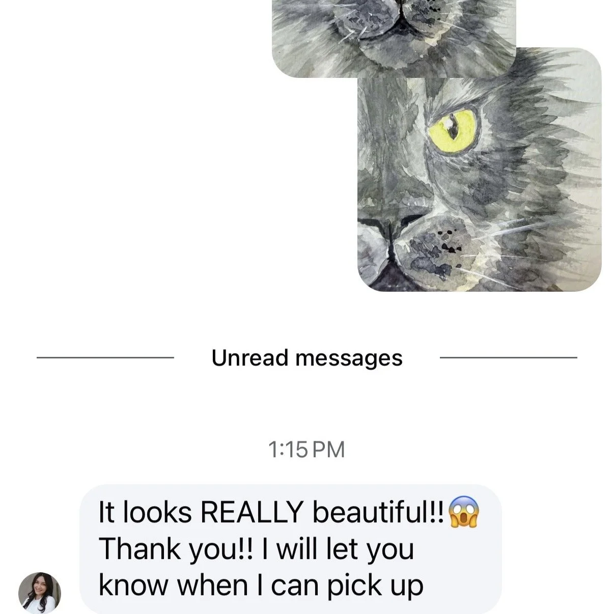 A screenshot of a messaging app showing a photo of a gray tabby cat with yellow eyes and a message stating 'It looks REALLY beautiful!! Thank you!! I will let you know when I can pick up.'