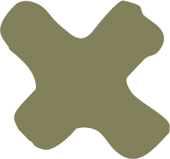 Stylized illustration of a green X.