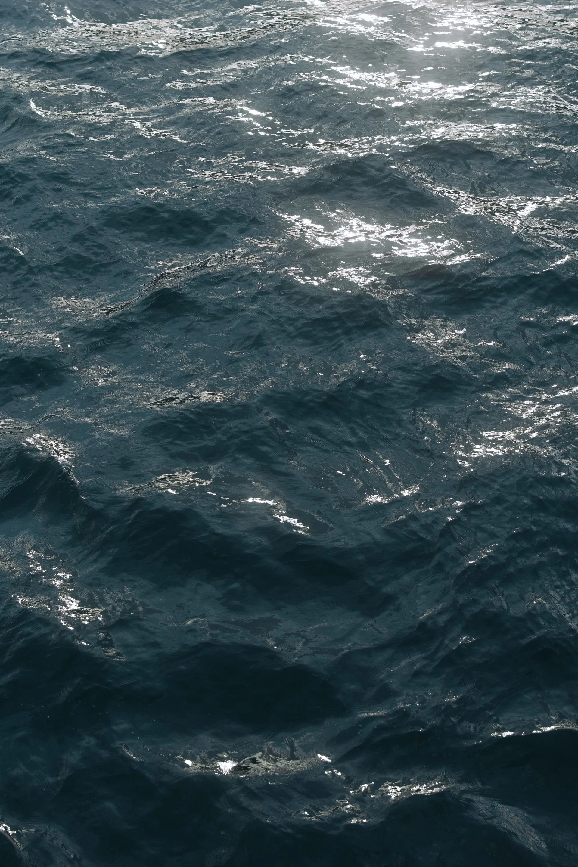 The image shows the surface of the ocean with dark blue water and sunlight reflecting off the waves.