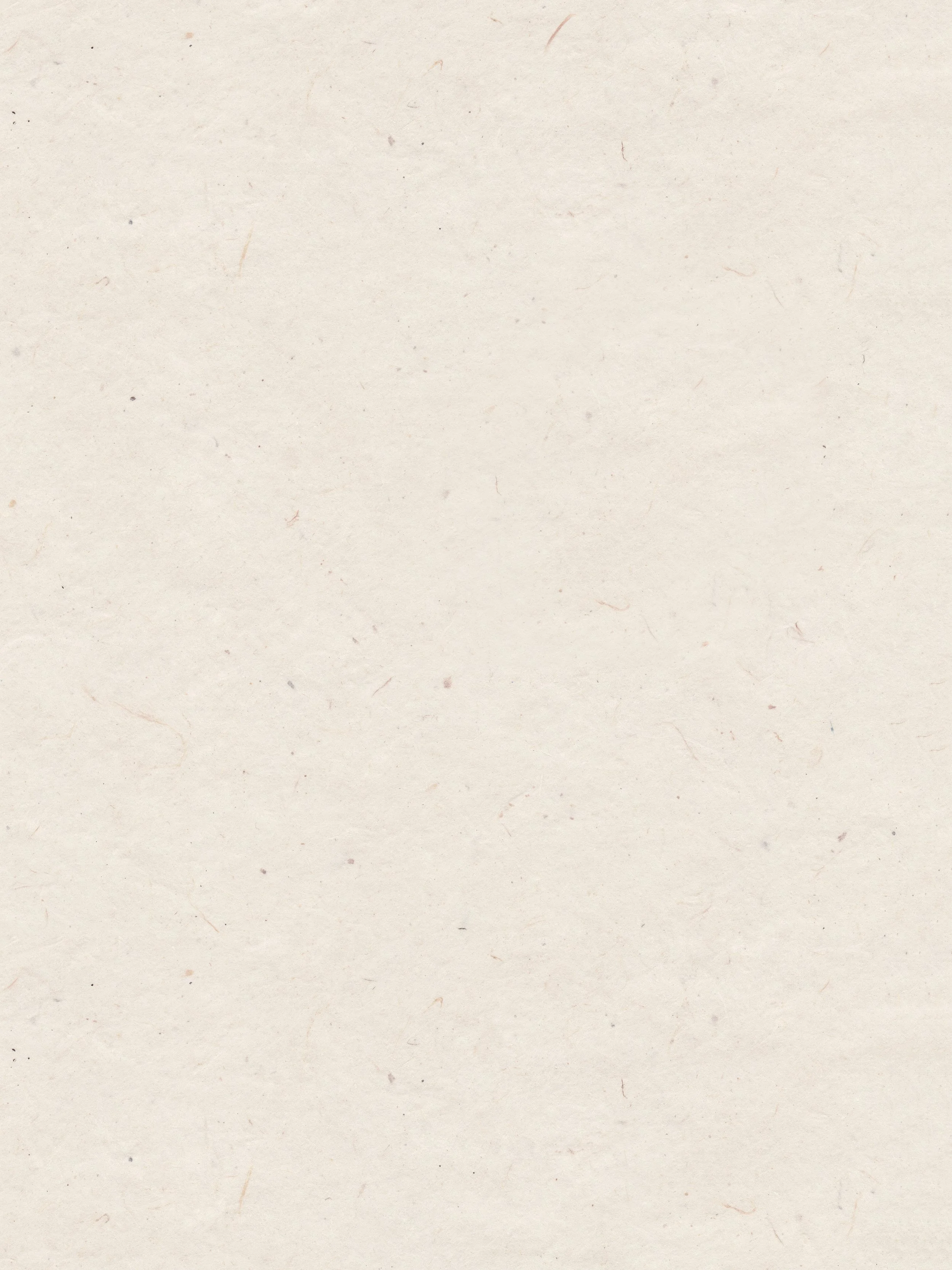 Blank sheet of white paper with small colored specks and fibers.