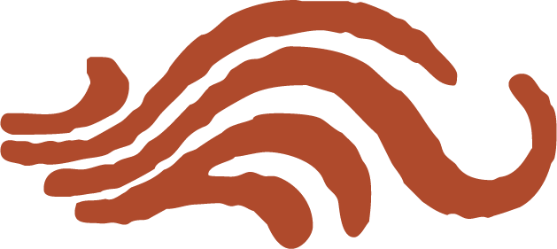 Stylized illustration of an ocean wave in burnt orange.