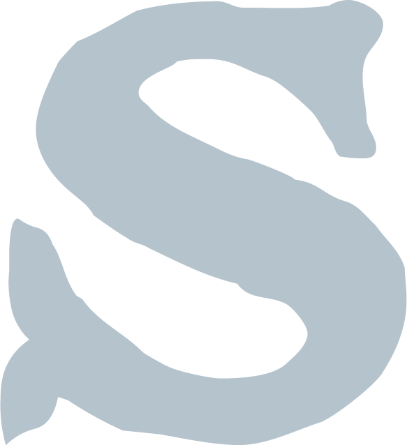Stylized illustration of the letter 'S' in light blue.
