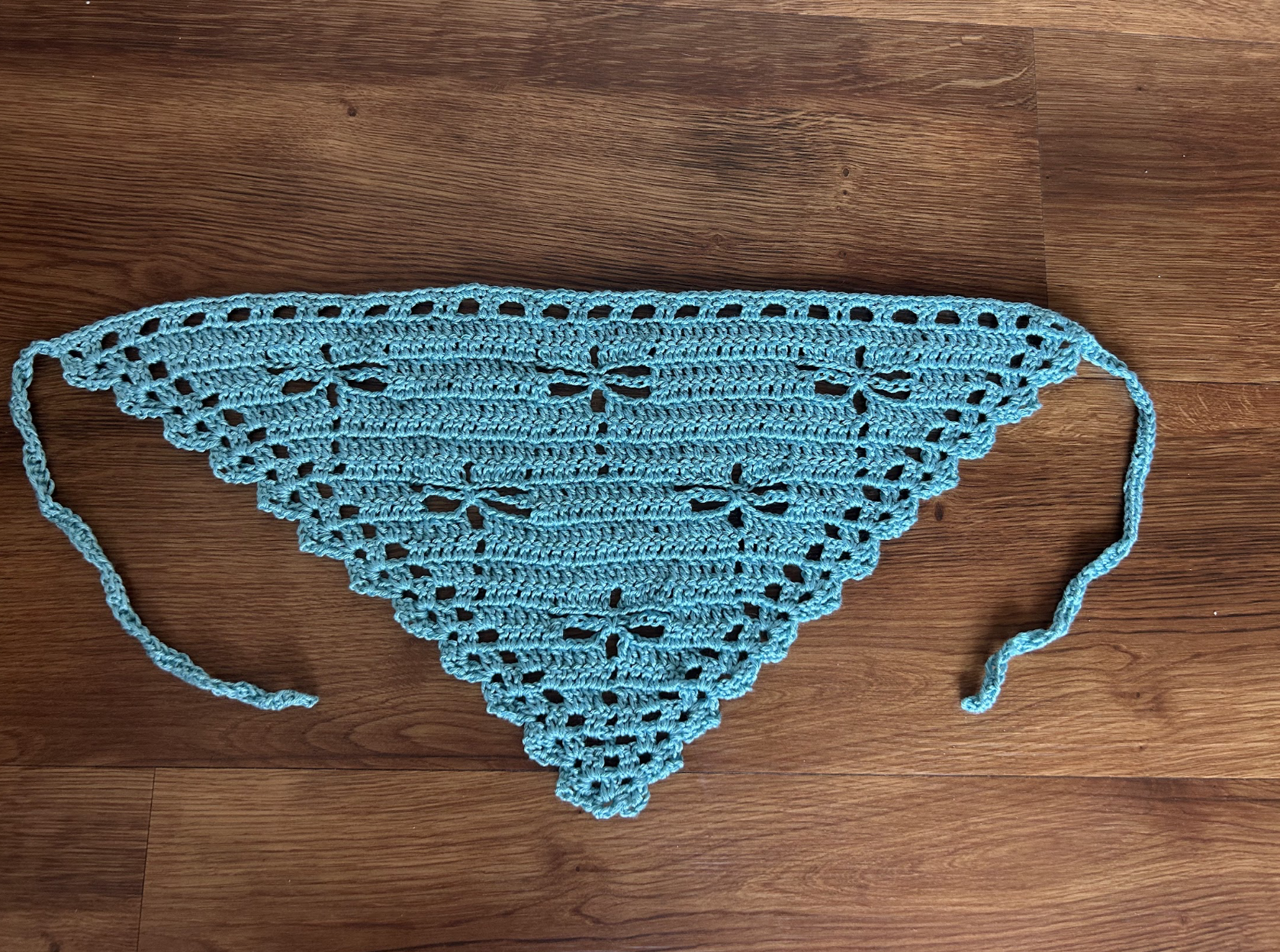 CROCHET DRAGONFLY BANDANA