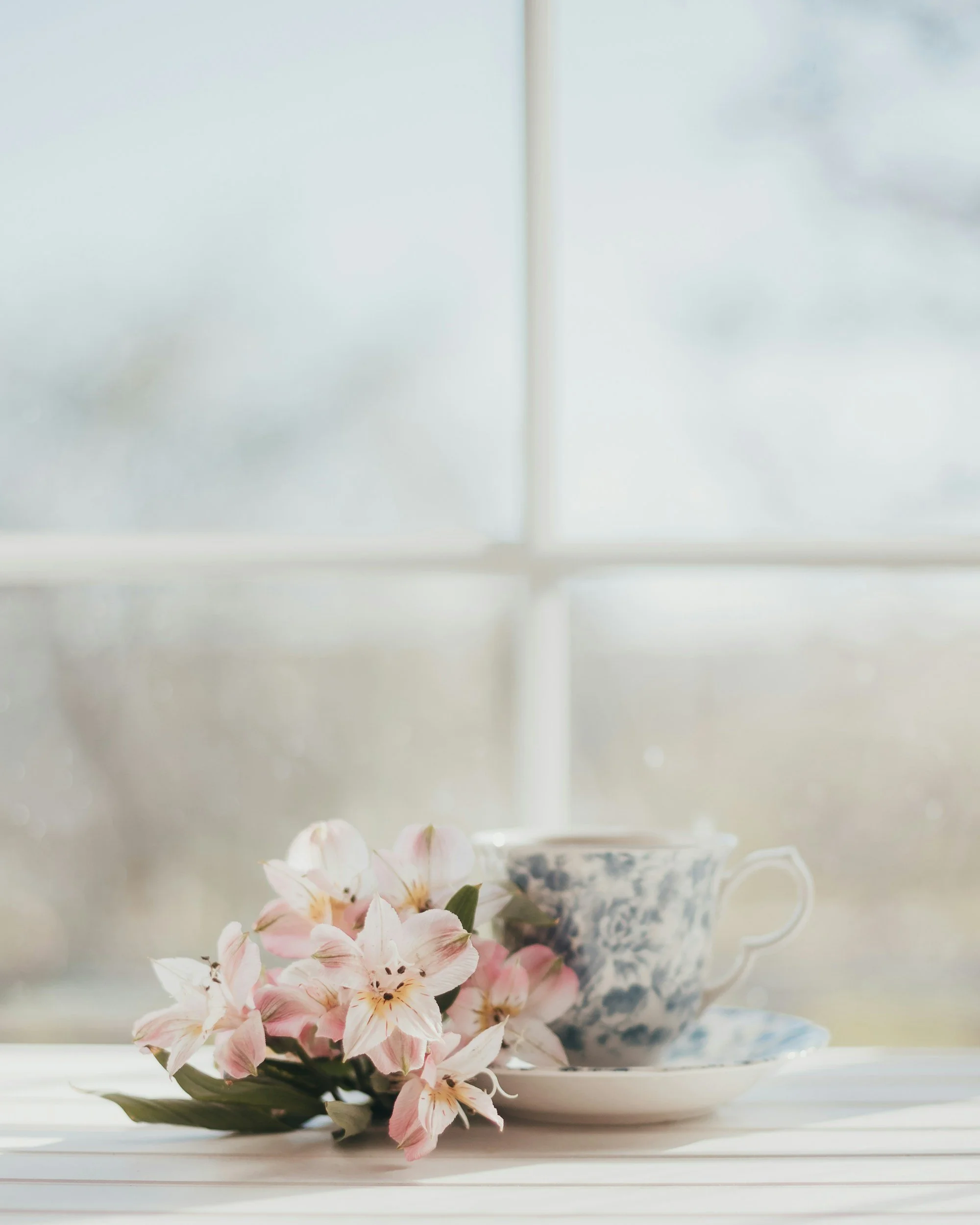 Gentle Comfort