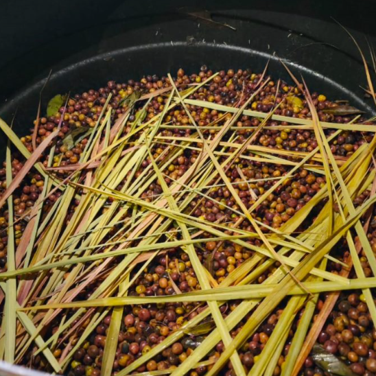 lemongrass.png