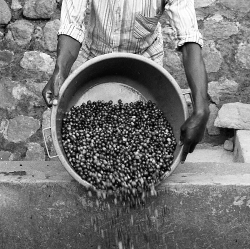 rwanda.png