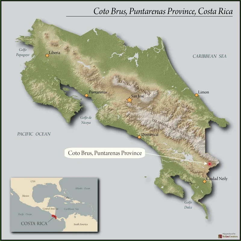 Coto-Brus-Puntarenas-province-Costa-Rica-1_dba70475-5eae-4fe7-95a2-de01fe02c4e1.webp