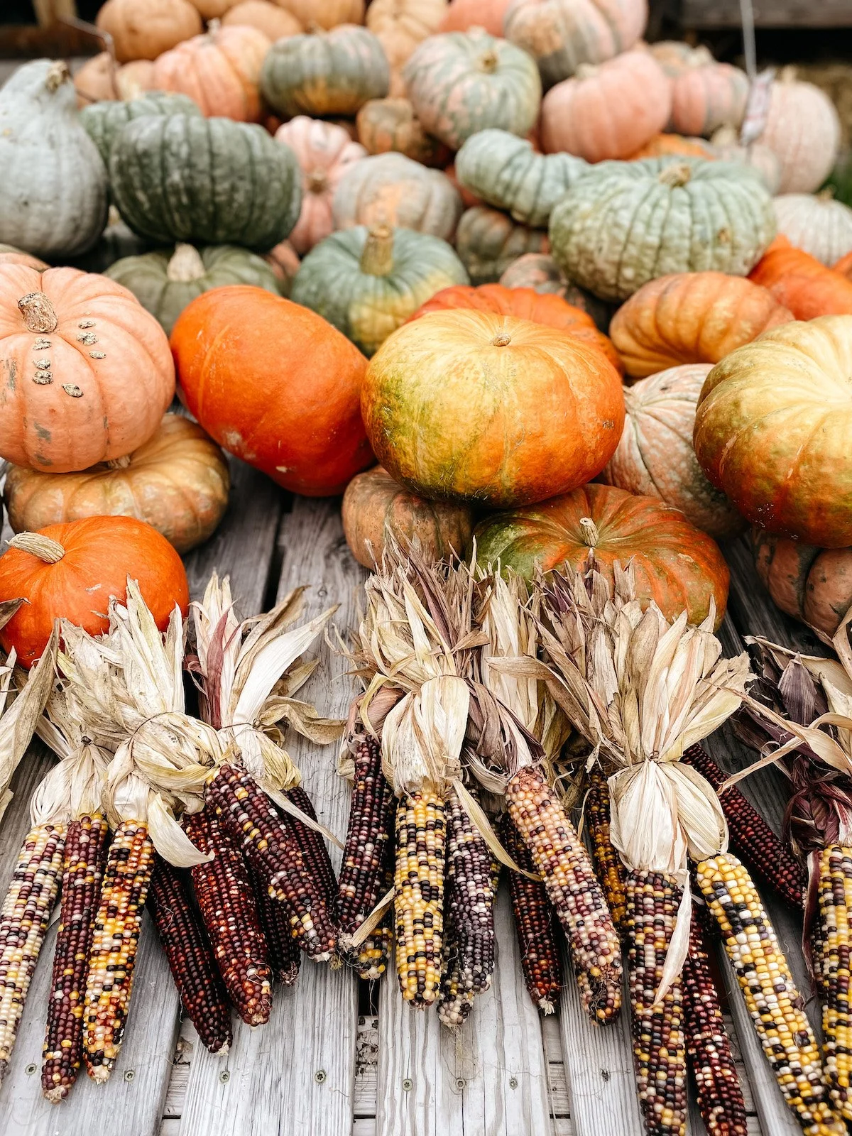 Various pumpkins and dried Indian corn arranged on a wooden surface.