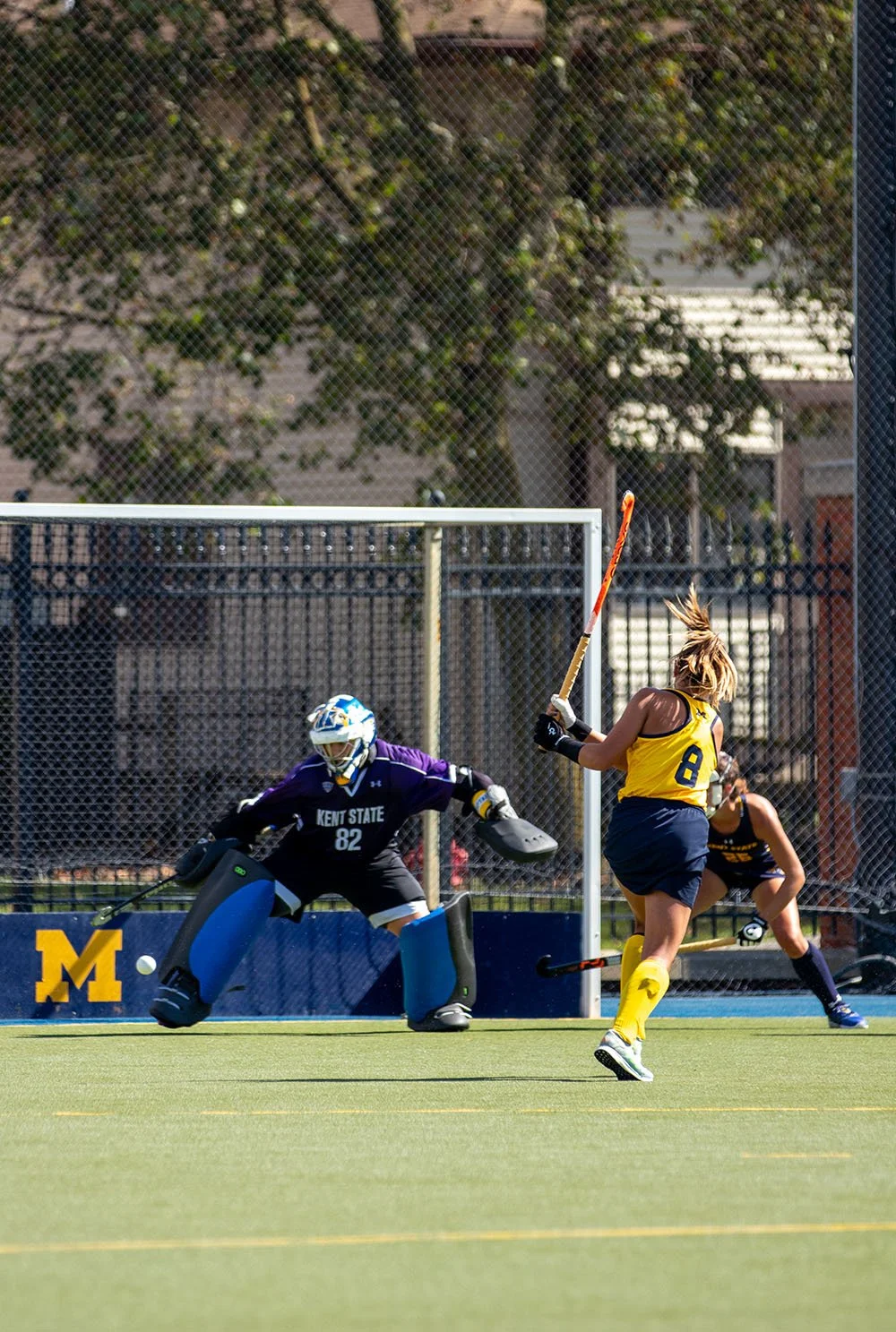 fockey2.jpg