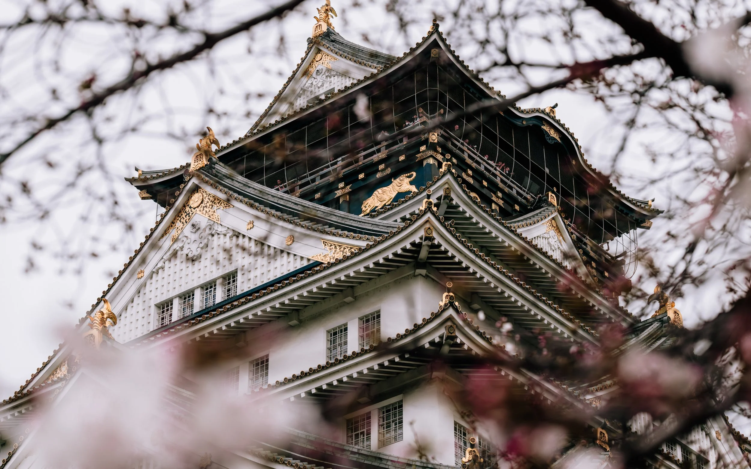 japan-16.jpg