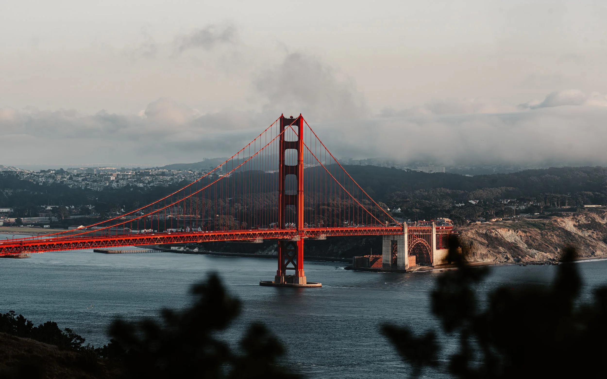 sf-1.jpg
