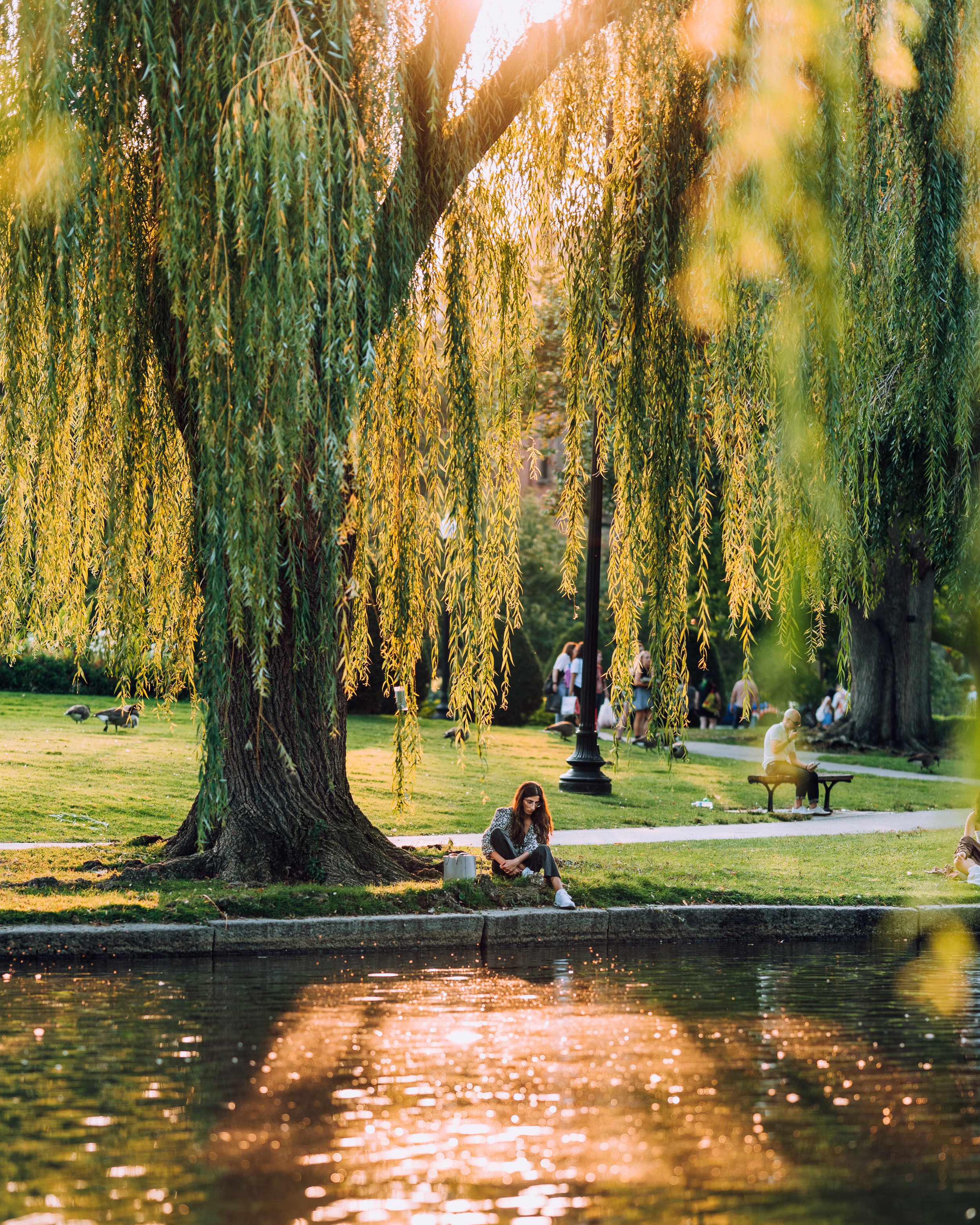 boston_35.jpg