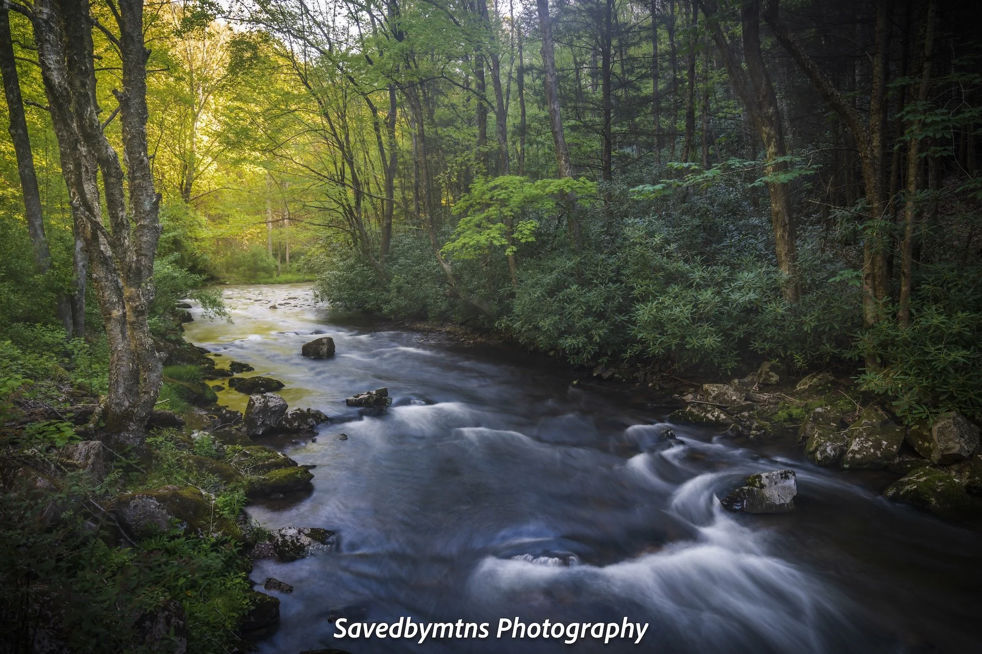 NATURE'S PACE, VIRGINIA